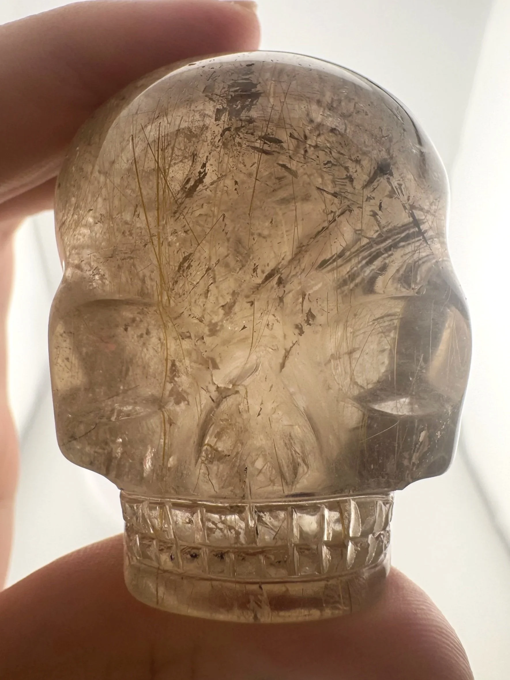 Leandro de Souza Golden Rutile in Smoky Quartz Magical Child Palm Skull
