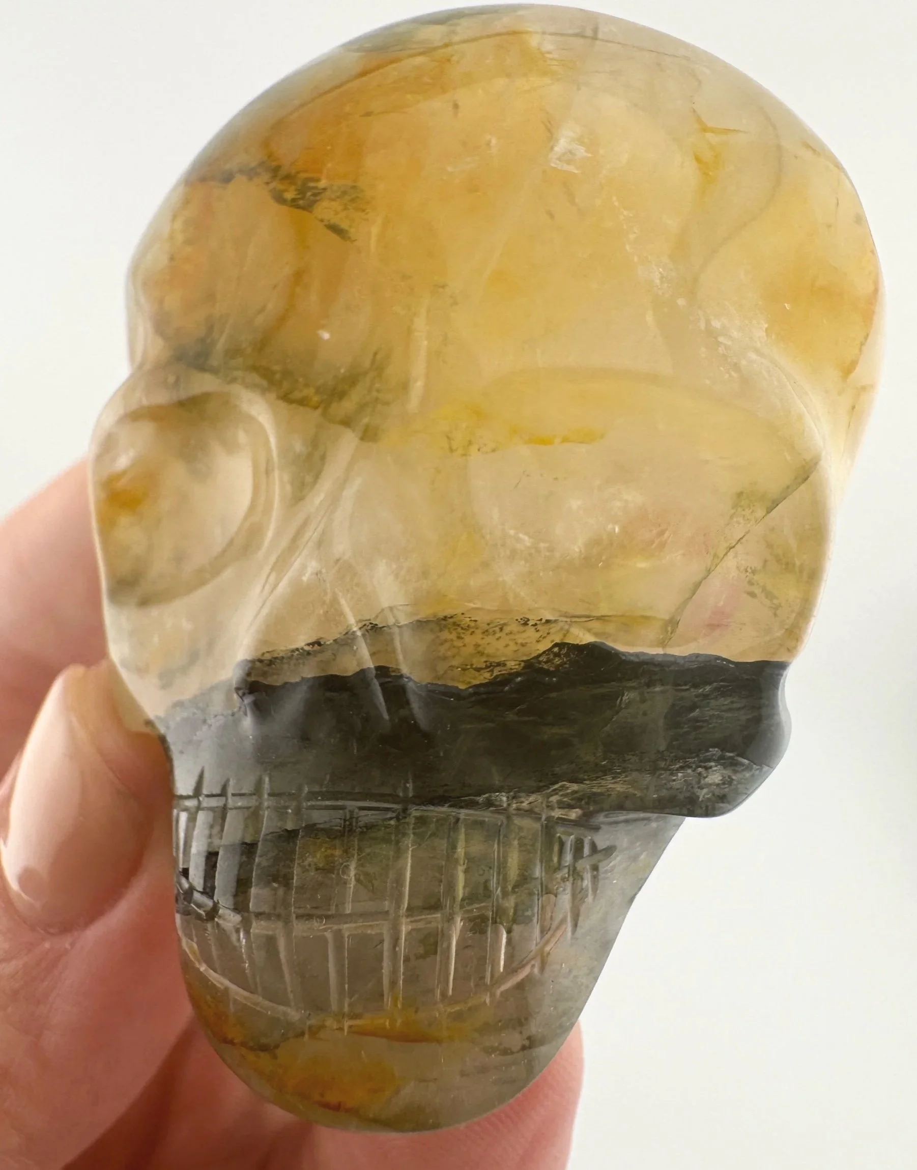Leandro de Souza Golden Healer Palm Skull