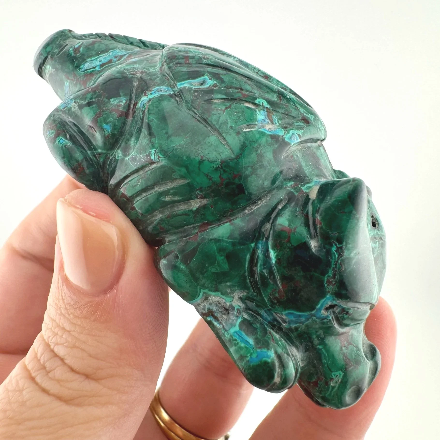 Leandro de Souza Malachite Chrysocolla Dodo Dragon
