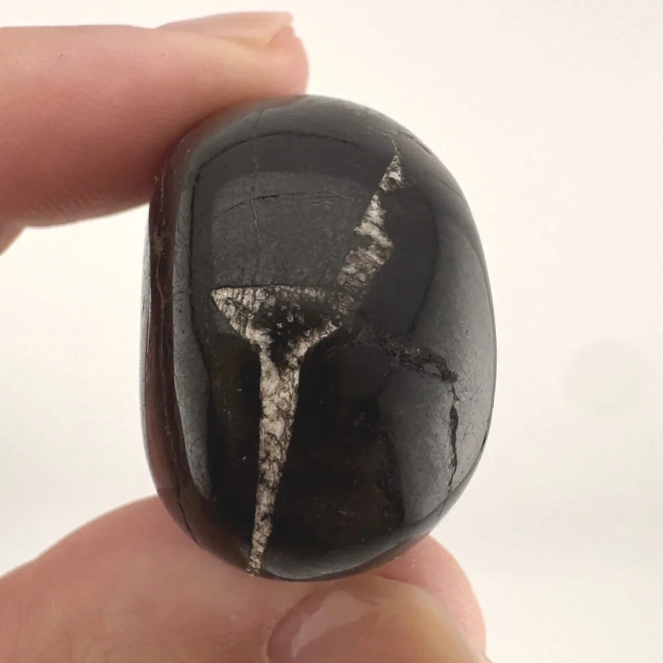 Igor de Souza Purpurite Skull