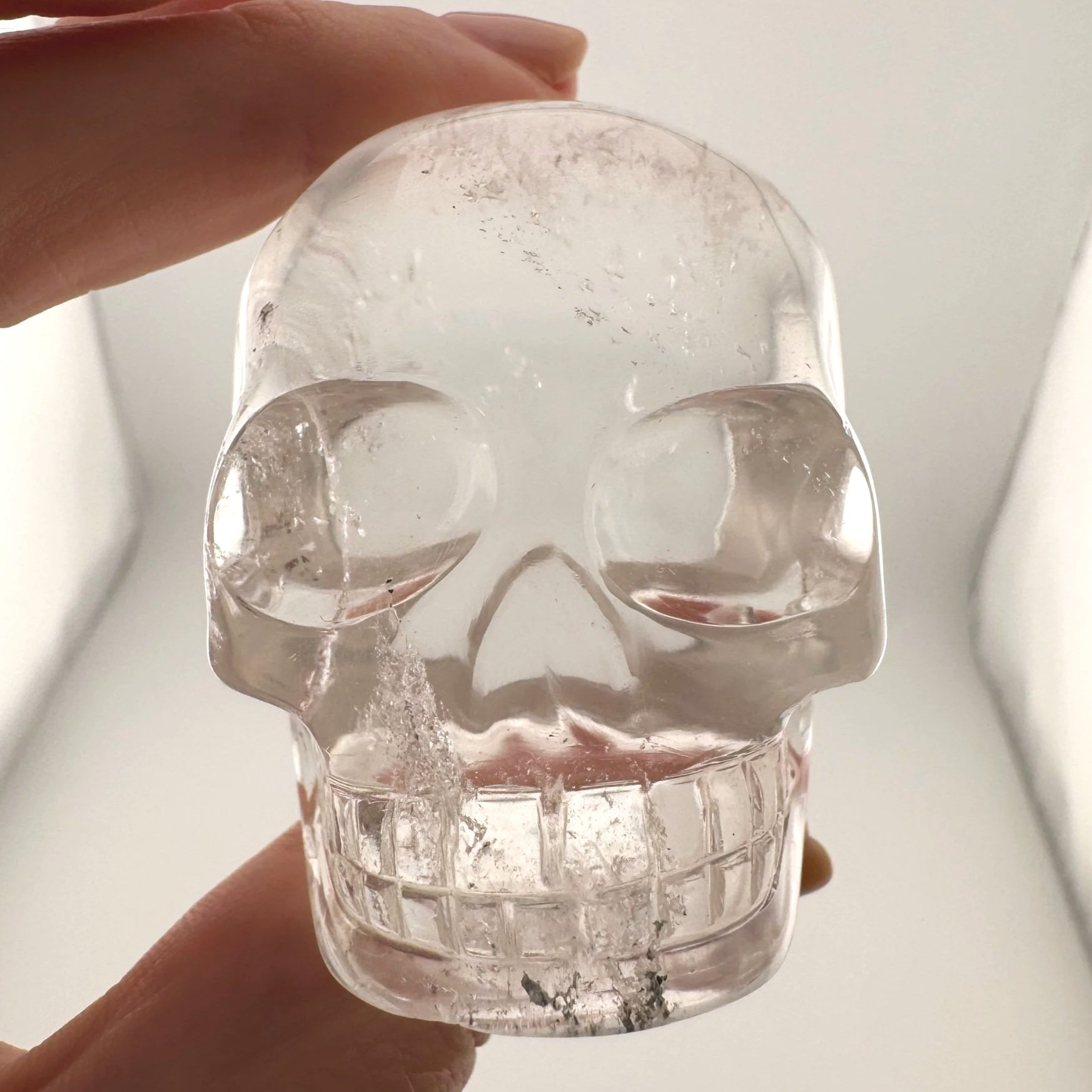 Leandro de Souza Gem Sirius Quartz Bizoin Skull