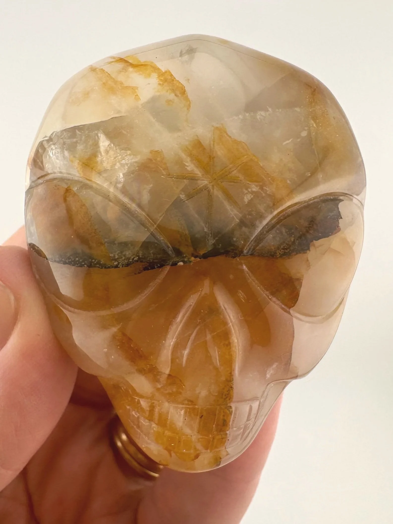 Leandro de Souza Golden Healer Palm Skull