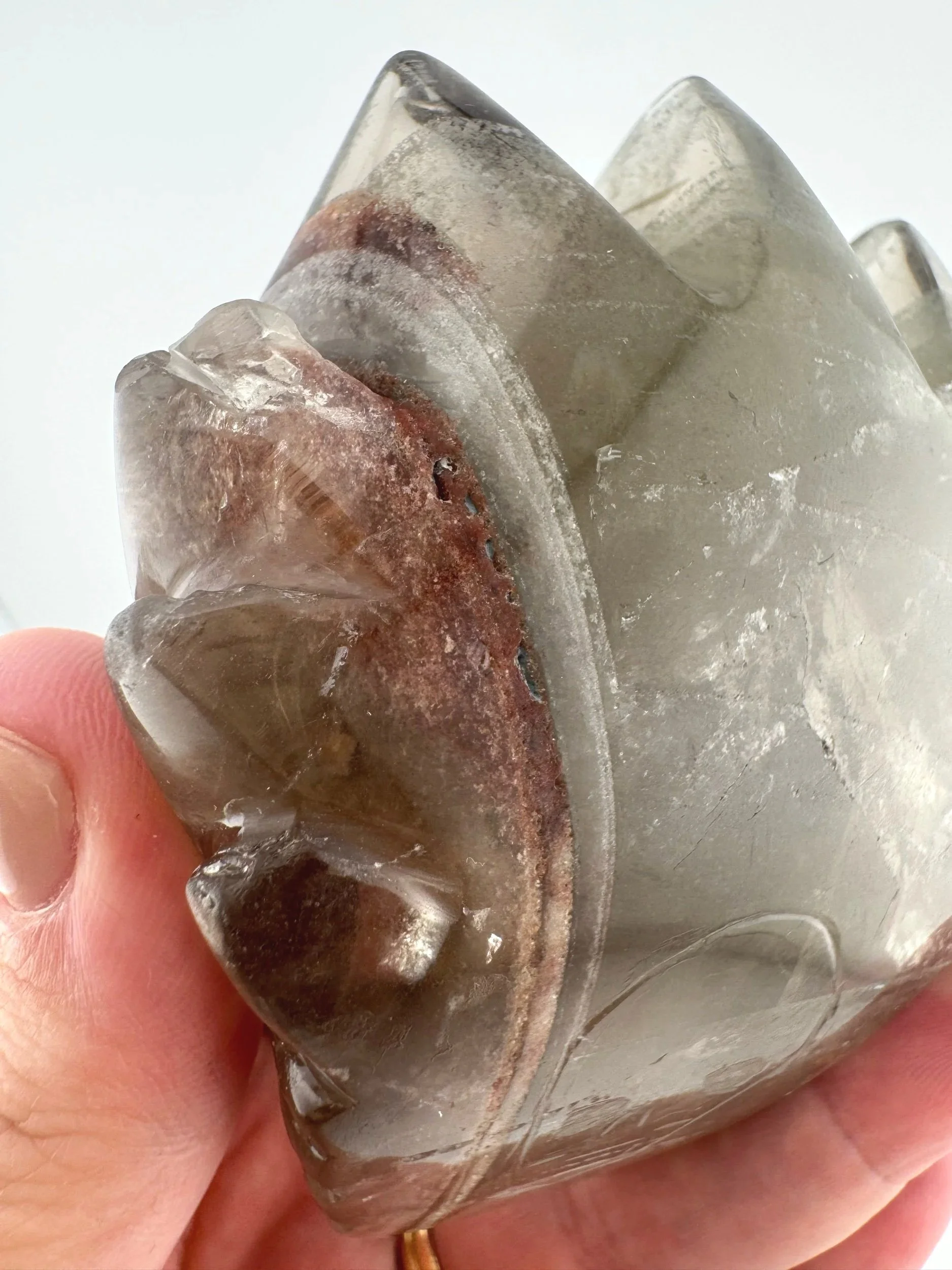 Leandro de Souza Chlorite Phantom Garden Quartz Dragon Skull