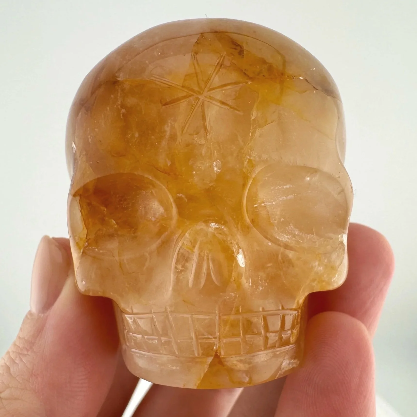 Leandro de Souza Golden Healer Magical Child Skull