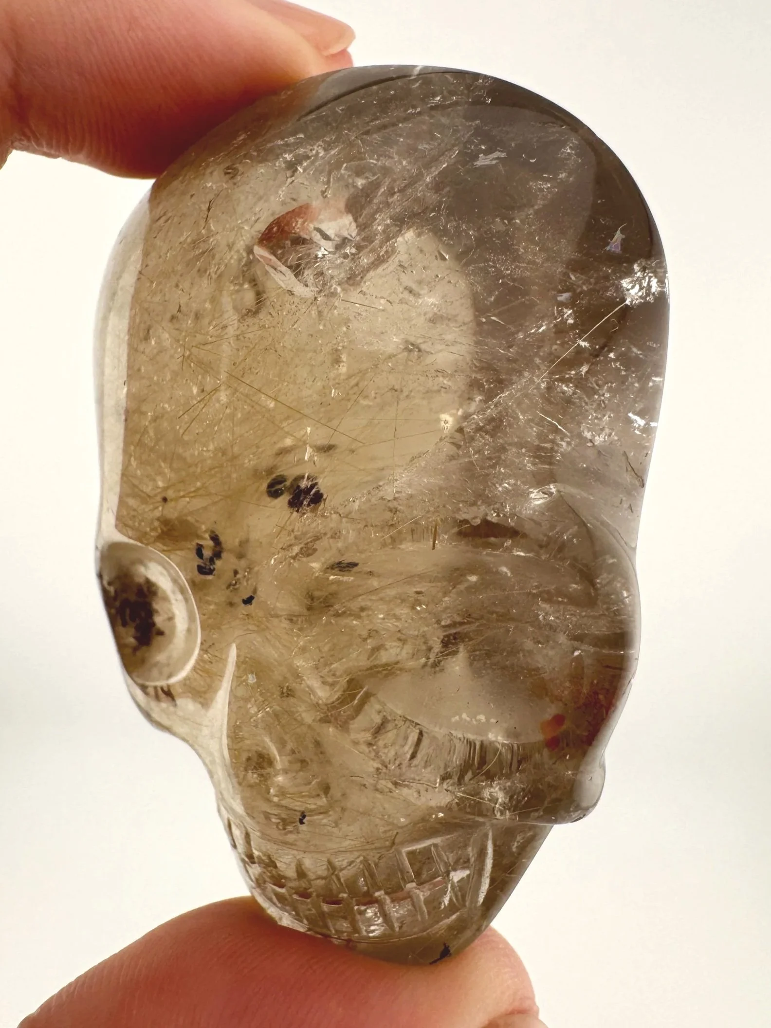 Leandro de Souza Smoky Garden Rutile Magical Child Palm Skull