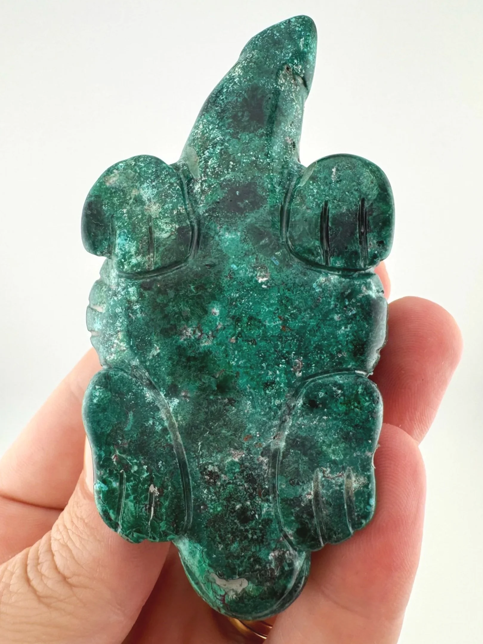 Leandro de Souza Malachite Chrysocolla Dodo Dragon