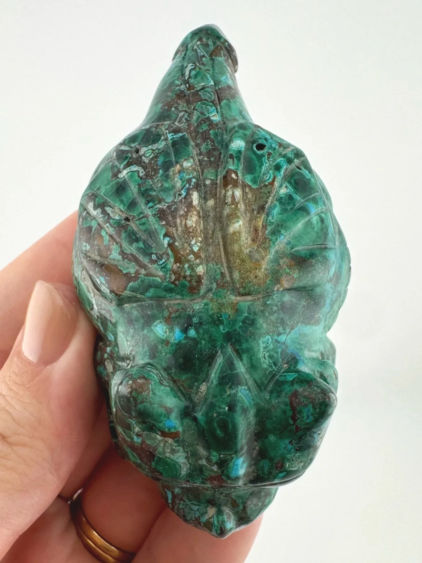 Leandro de Souza Malachite Chrysocolla Dodo Dragon