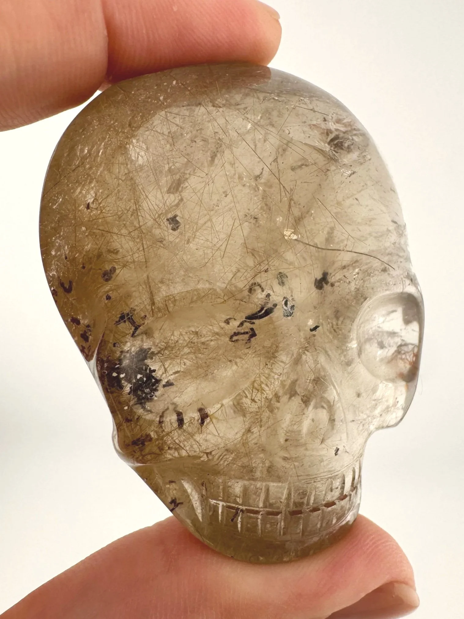 Leandro de Souza Smoky Garden Rutile Magical Child Palm Skull