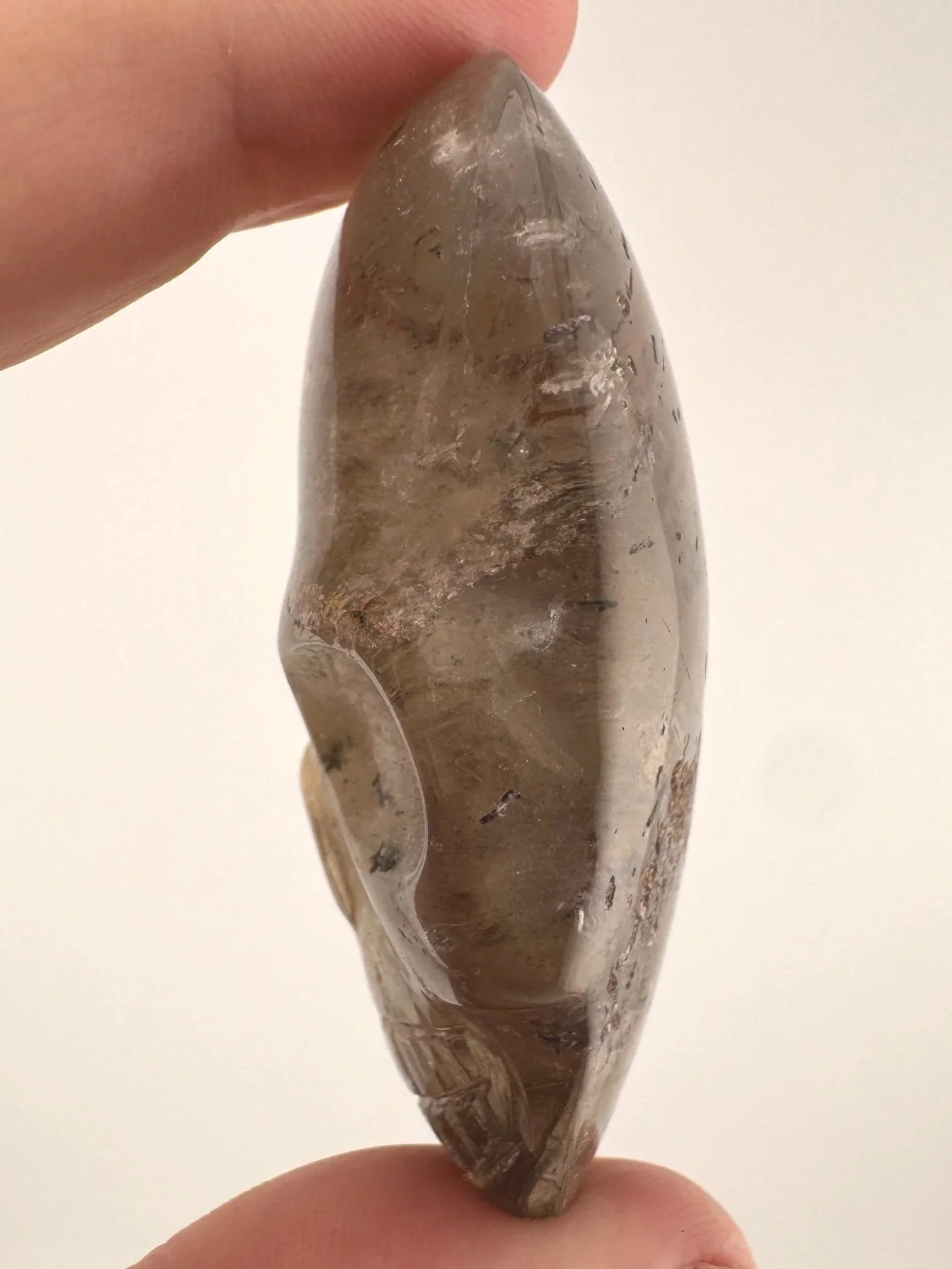 Leandro de Souza Smoky Garden Rutile Magical Child Palm Skull