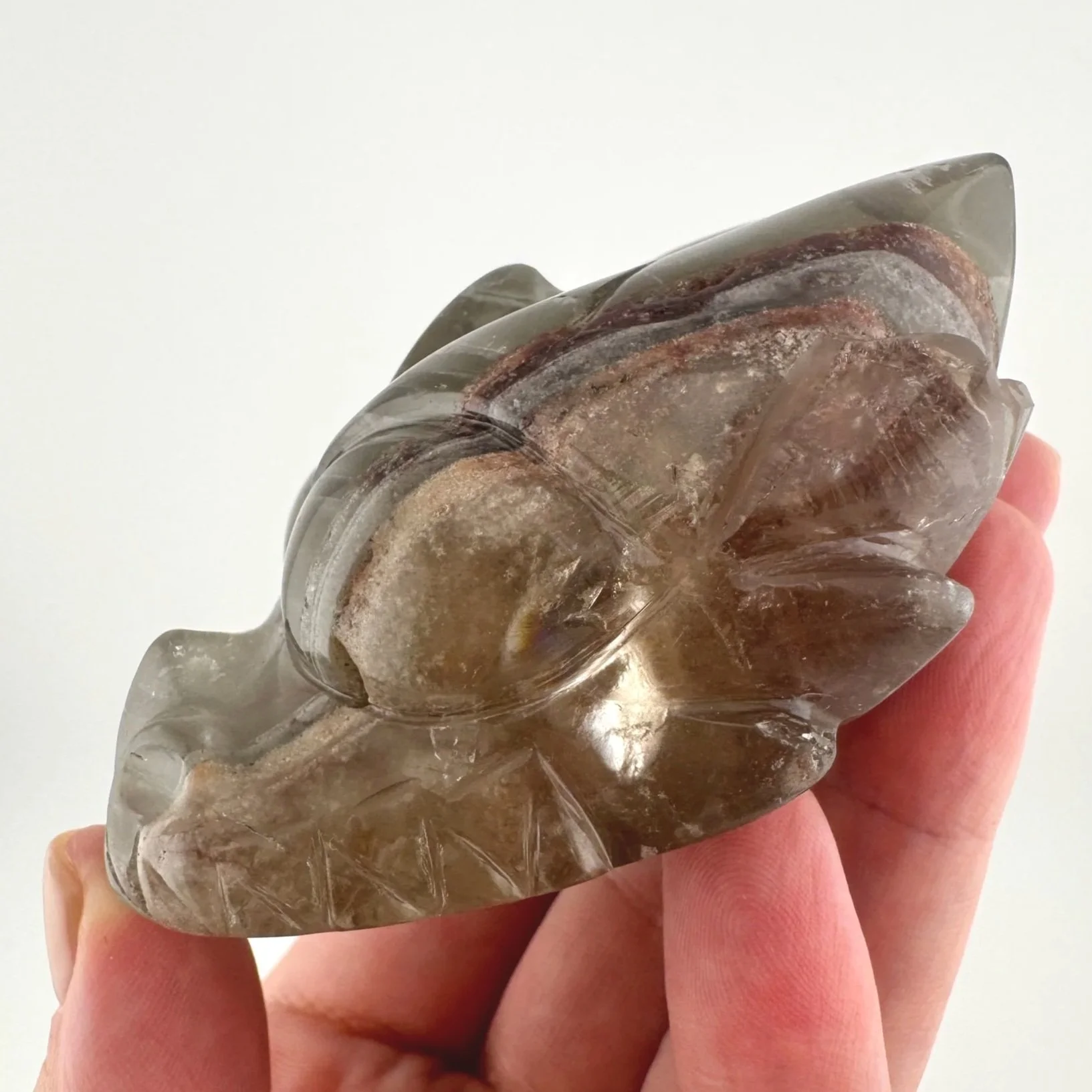 Leandro de Souza Chlorite Phantom Garden Quartz Dragon Skull