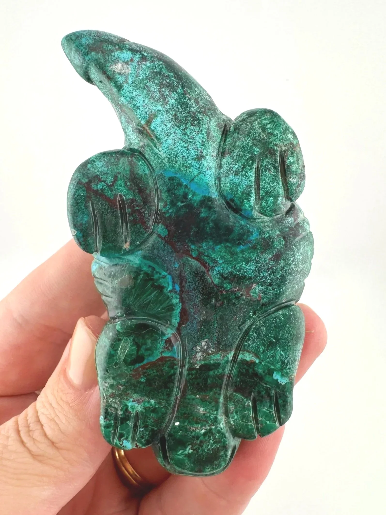 Leandro de Souza Malachite Chrysocolla Dodo Dragon