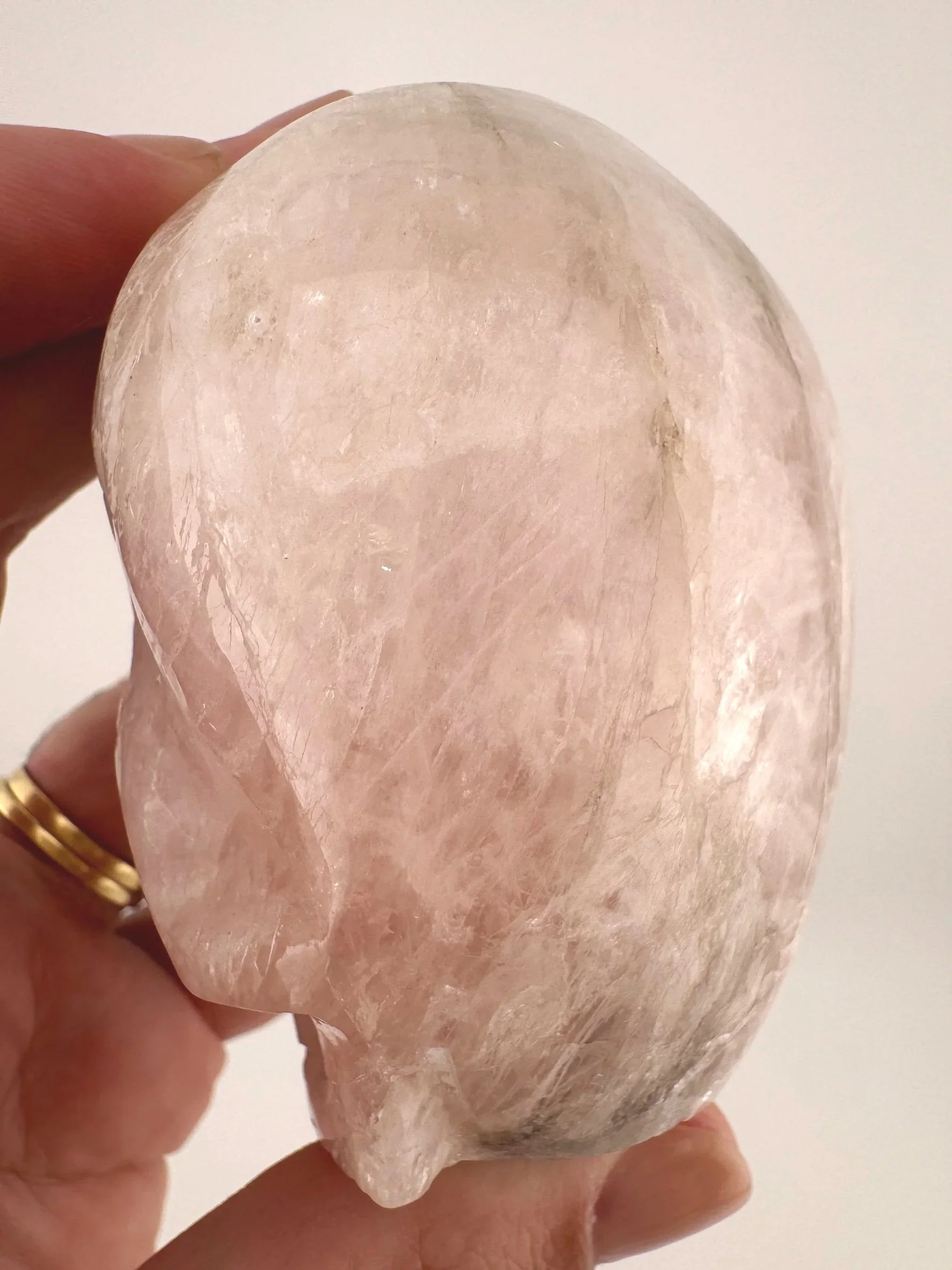 Leandro de Souza Morganite Shaman Skull