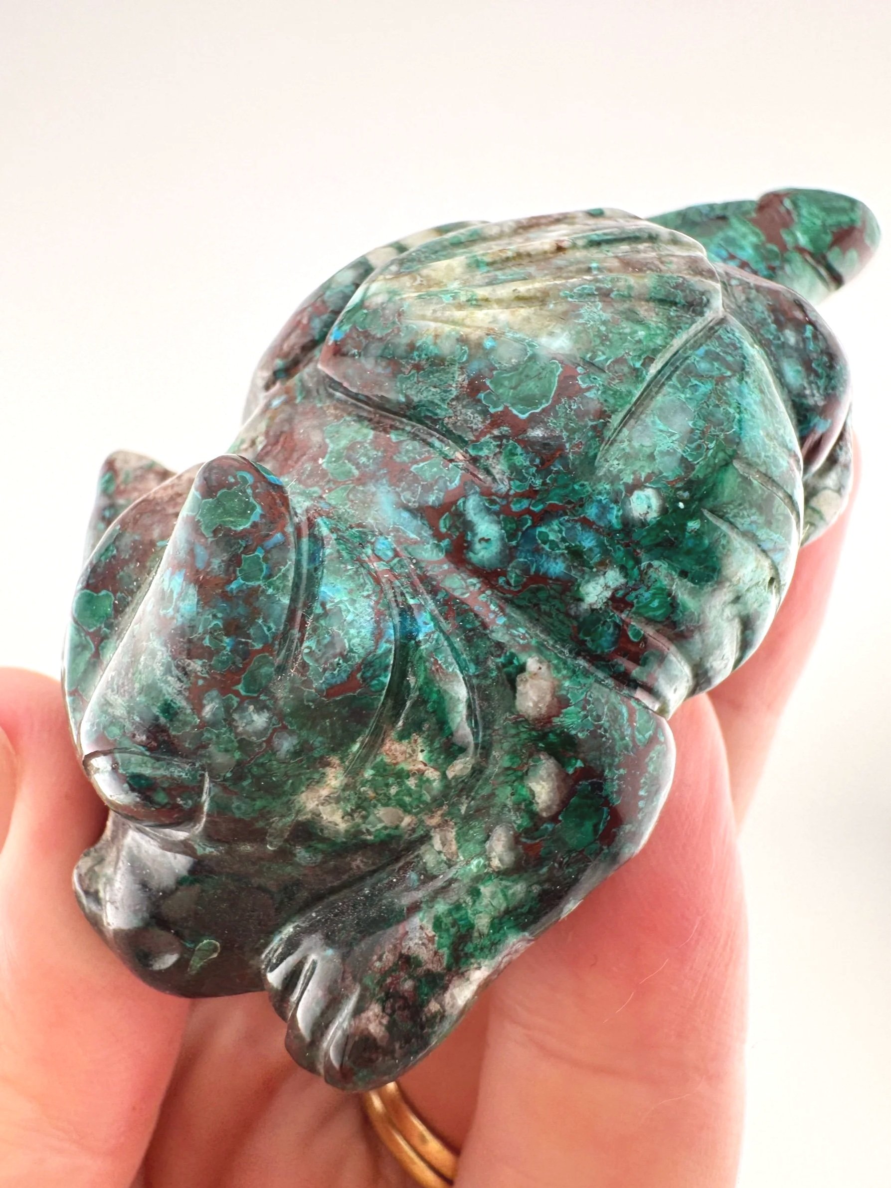 Leandro de Souza Malachite Chrysocolla Dodo Dragon