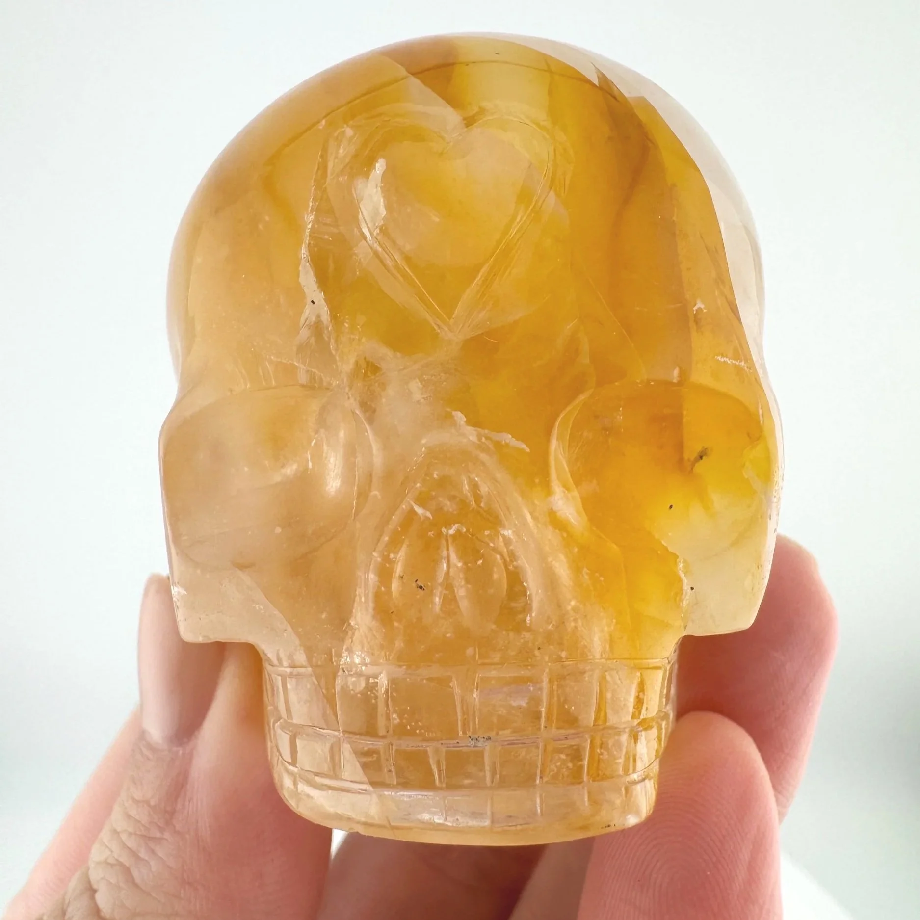 Leandro de Souza Golden Healer Magical Child Skull