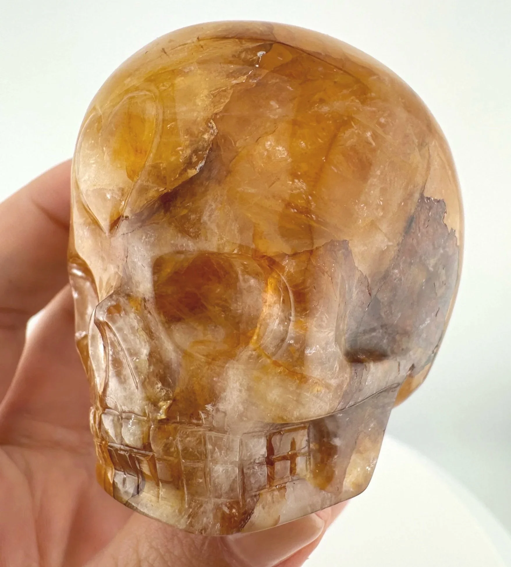 Leandro de Souza Golden Healer Magical Child Skull