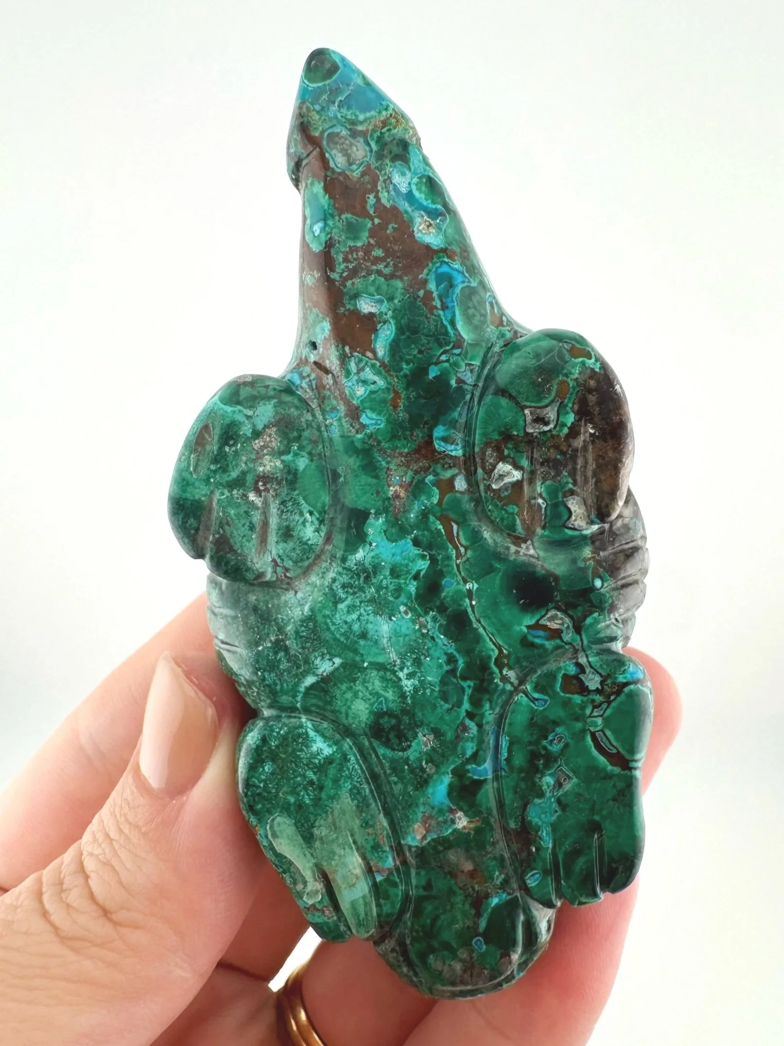 Leandro de Souza Malachite Chrysocolla Dodo Dragon
