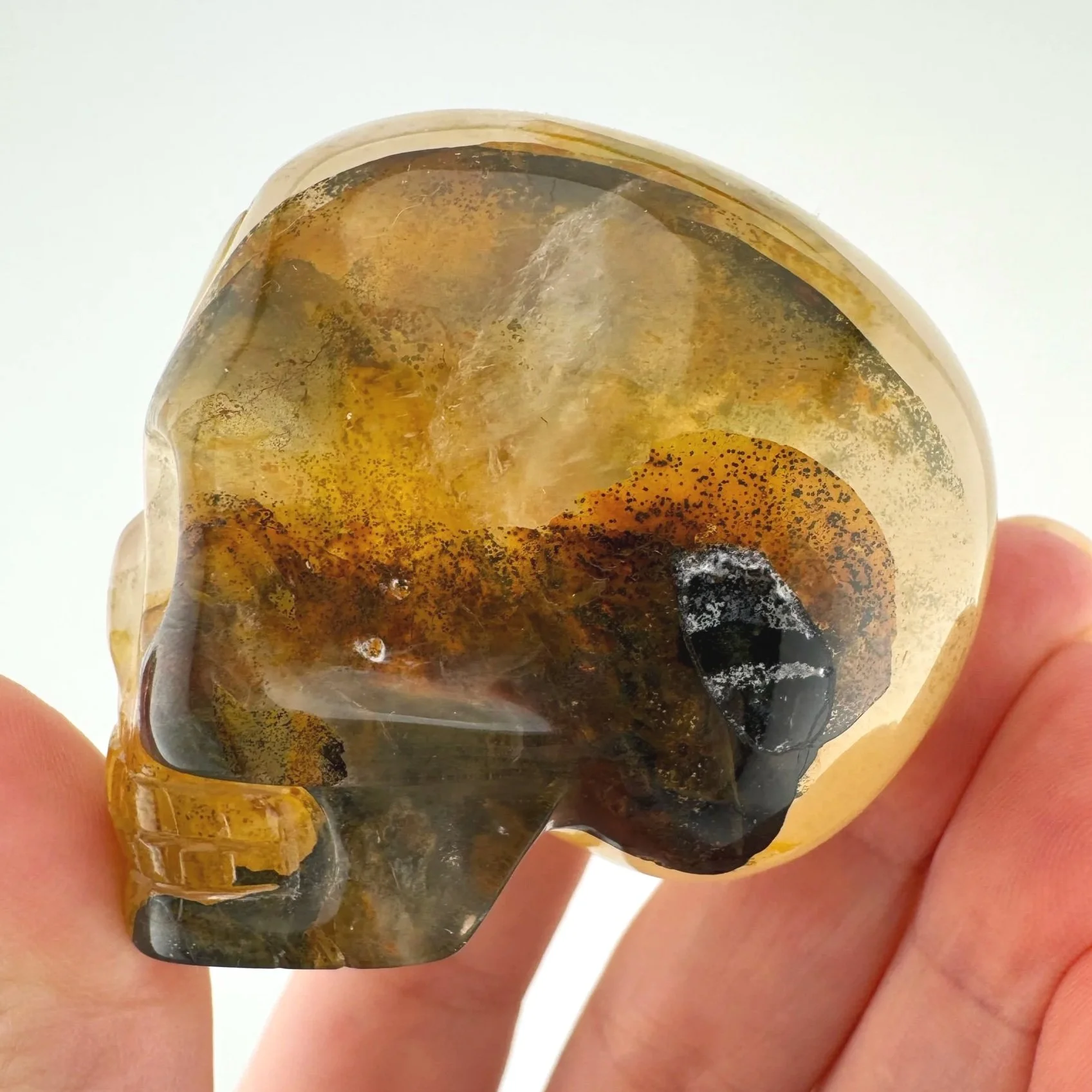 Leandro de Souza Golden Healer Skull