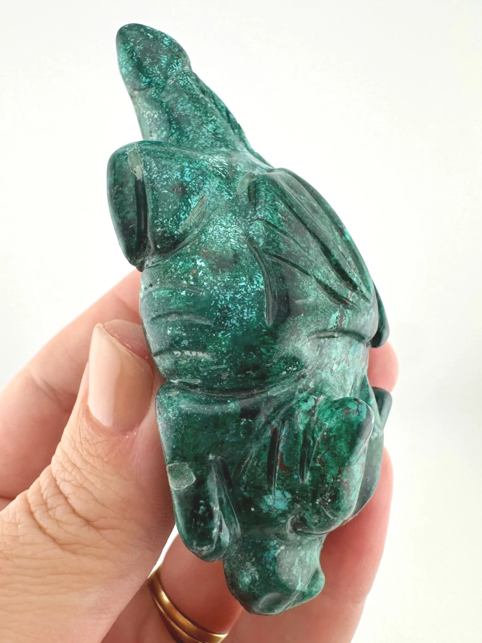 Leandro de Souza Malachite Chrysocolla Dodo Dragon