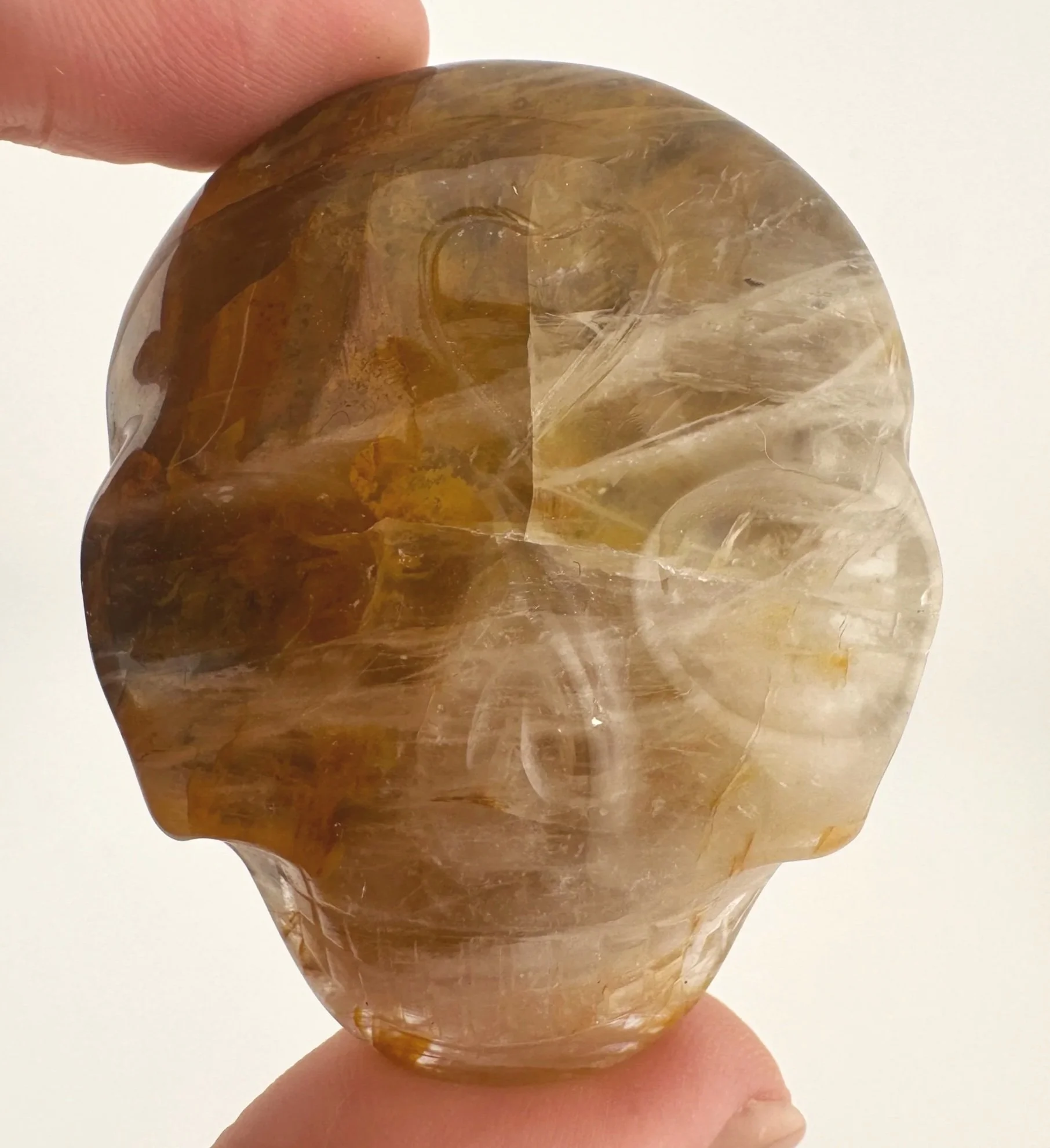 Leandro de Souza Golden Healer Palm Skull