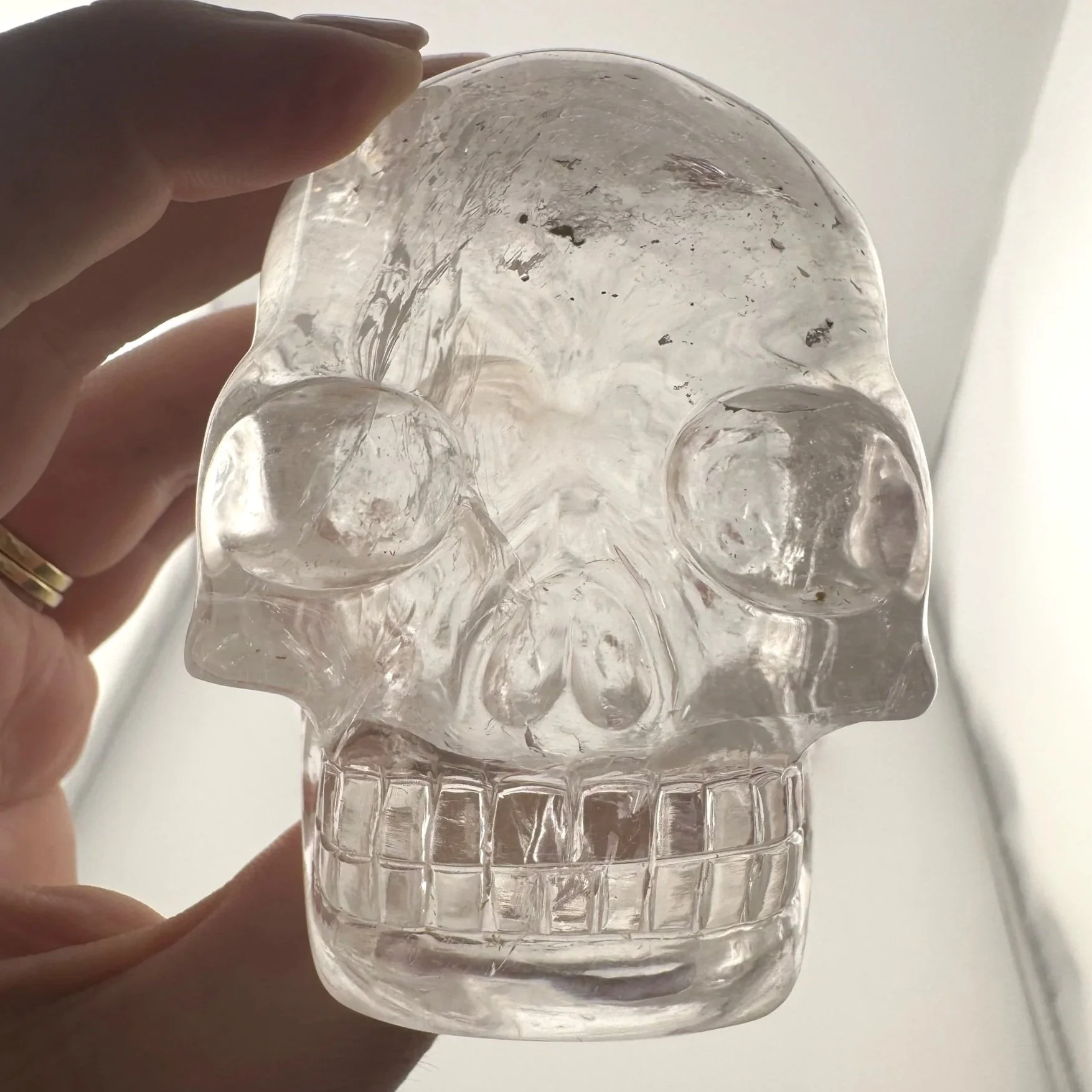 Leandro de Souza Rutile in Quartz Skull