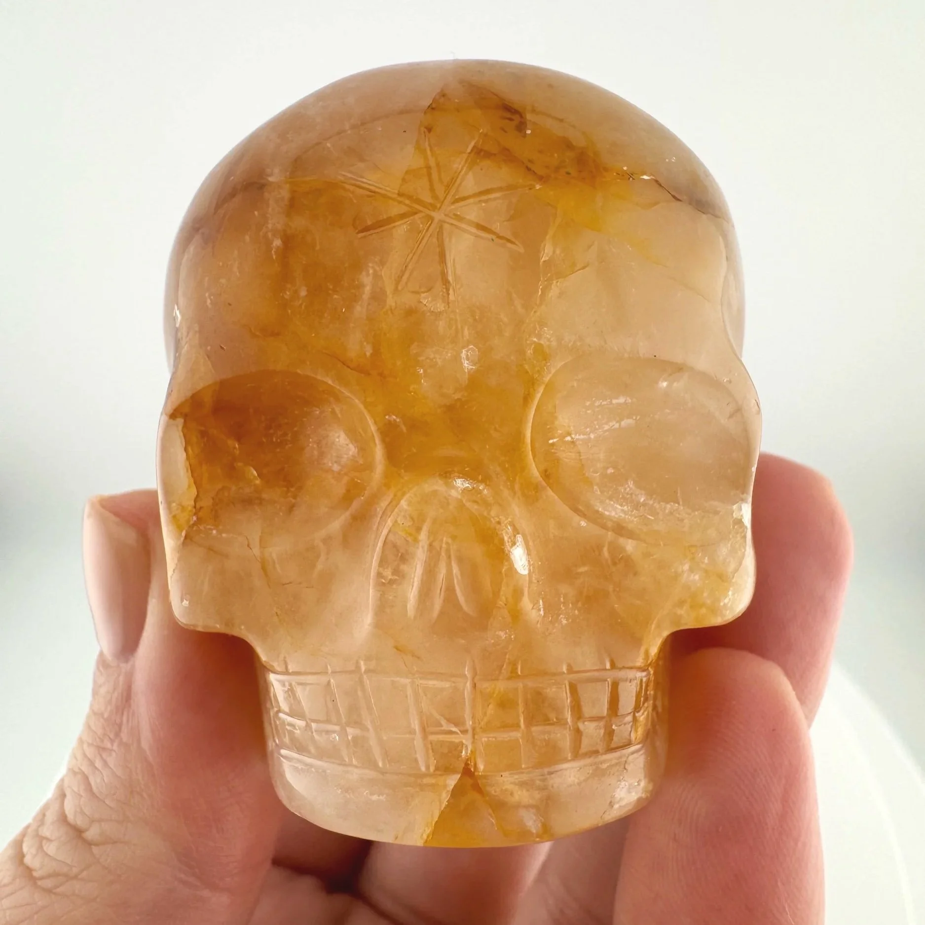 Leandro de Souza Golden Healer Magical Child Skull