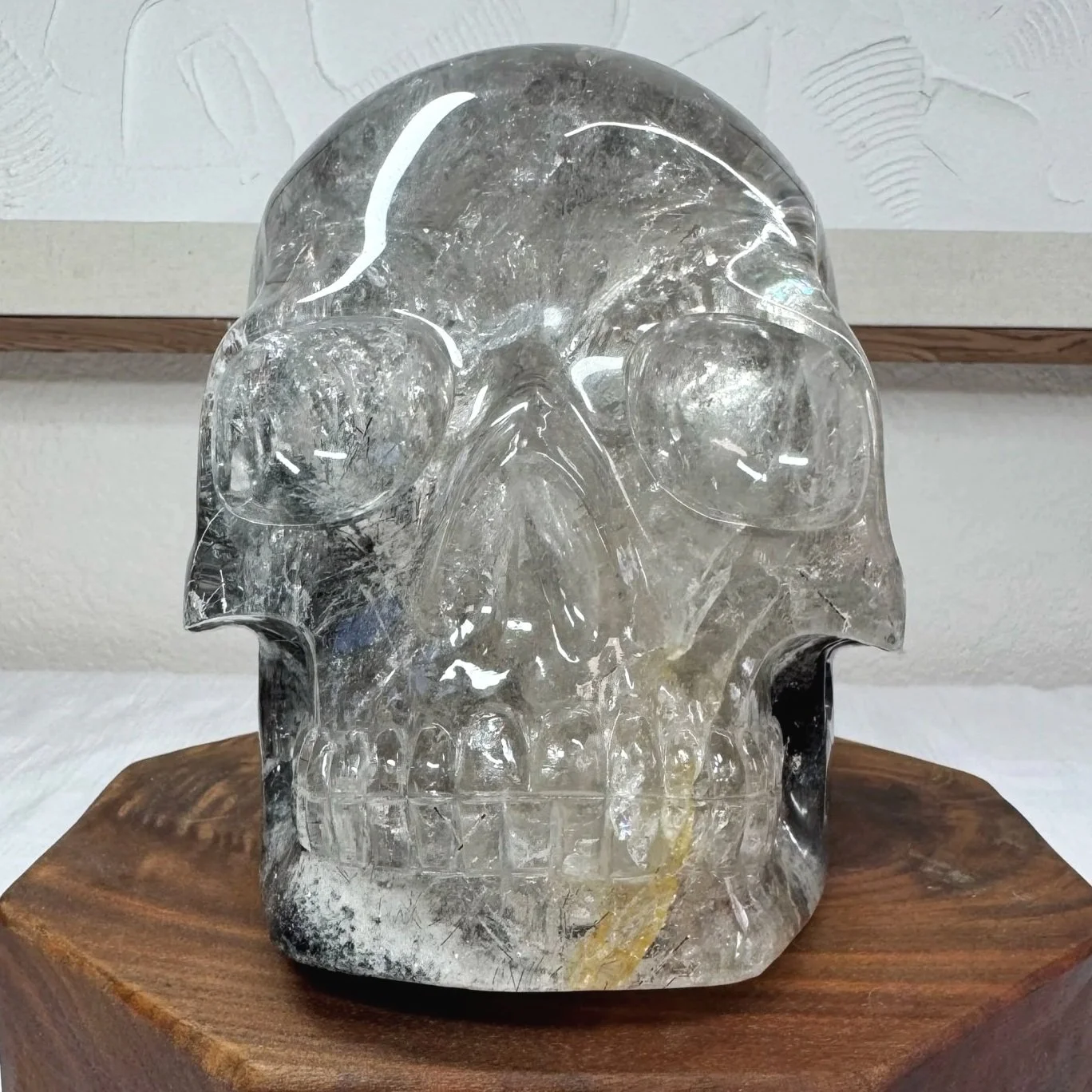 Leandro de Souza Black Tourmaline and Lodolite in Quartz Master Skull