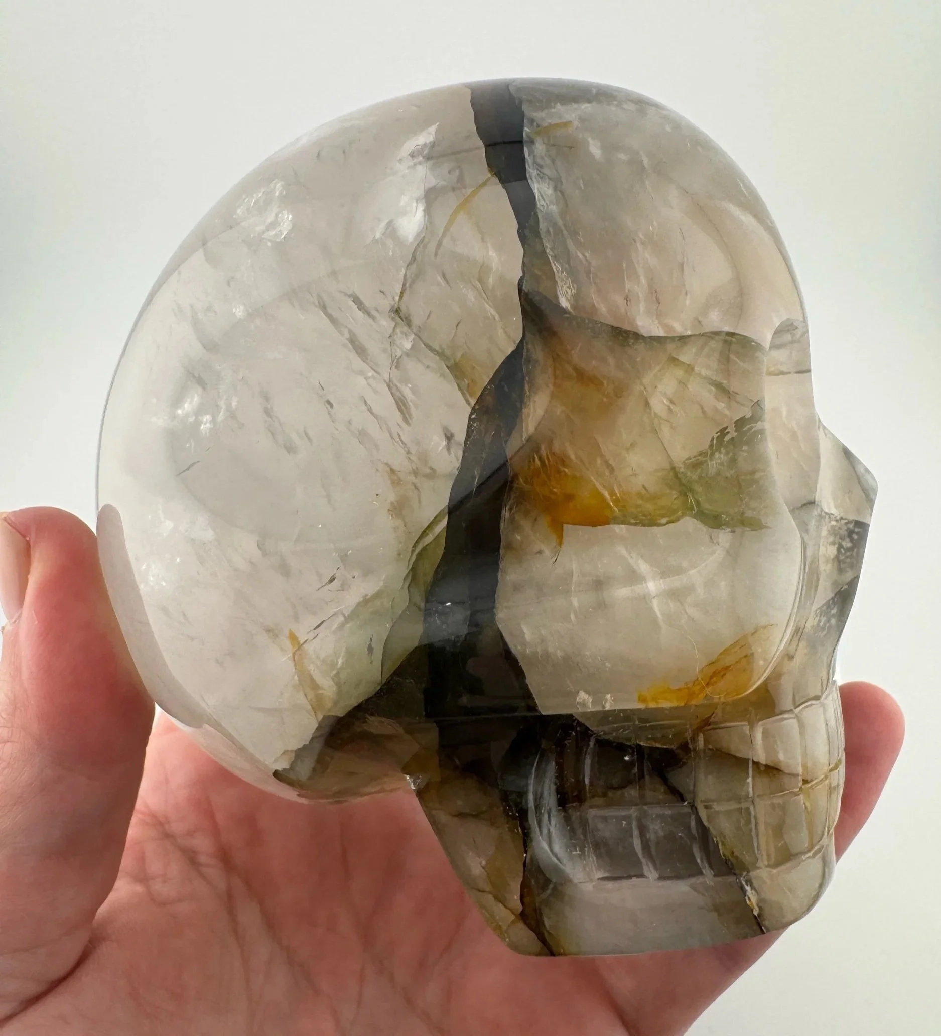 Leandro de Souza Golden Healer Skull