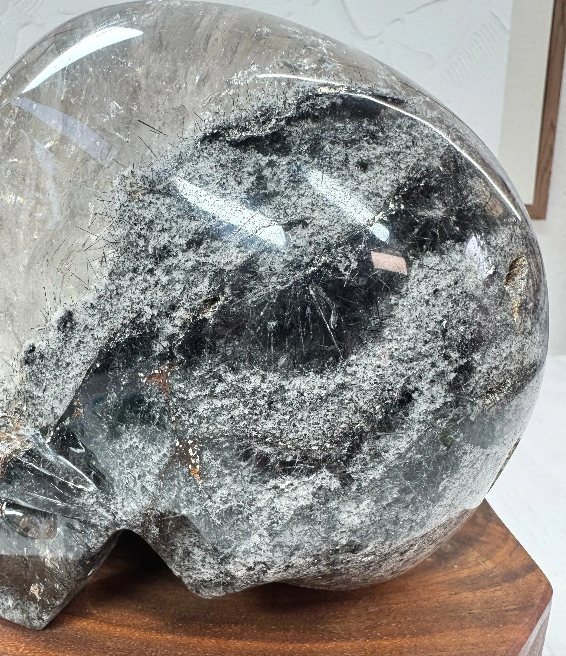 Leandro de Souza Black Tourmaline and Lodolite in Quartz Master Skull