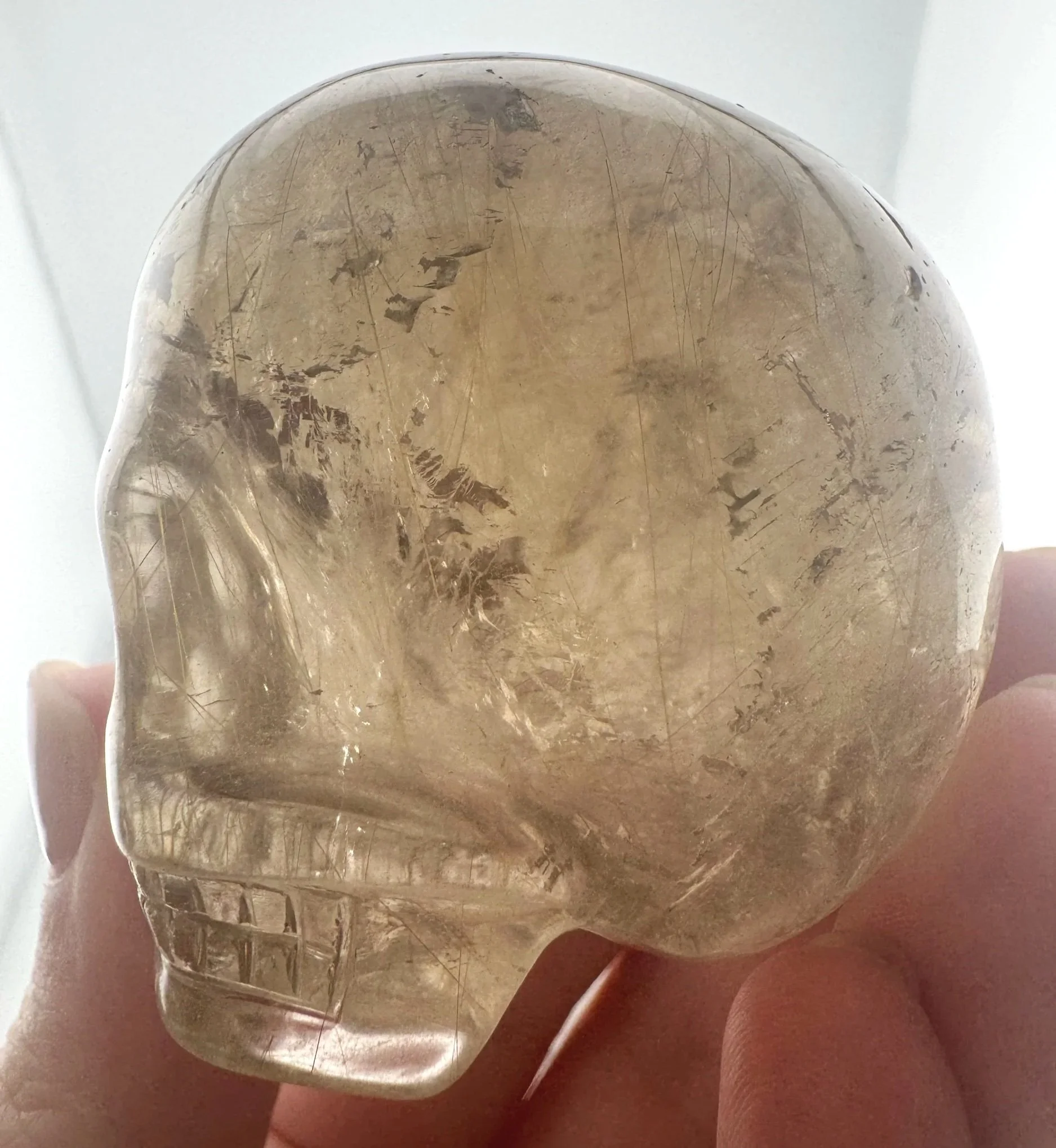 Leandro de Souza Golden Rutile in Smoky Quartz Magical Child Palm Skull