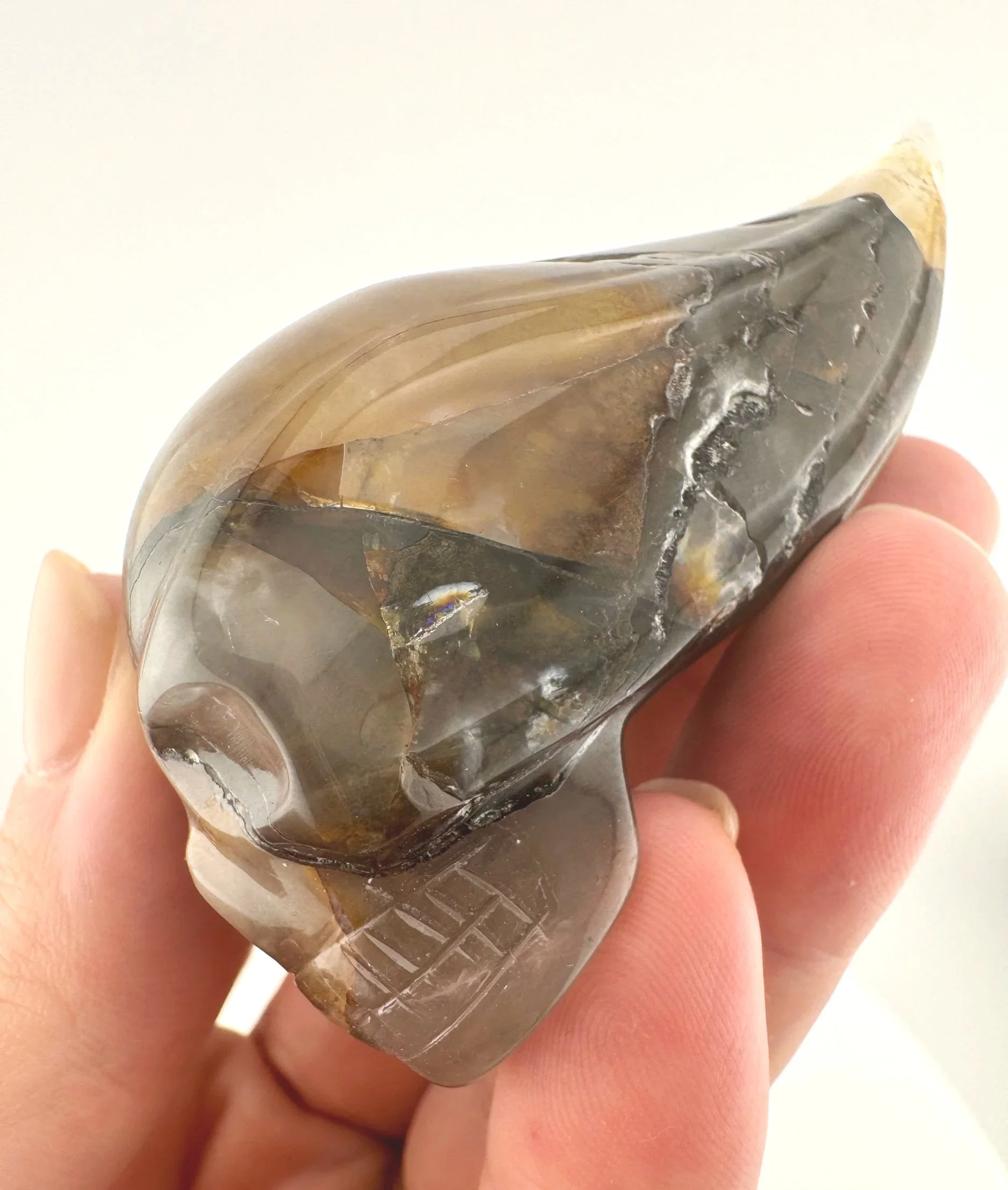 Leandro de Souza Golden Healer Traveler Skull