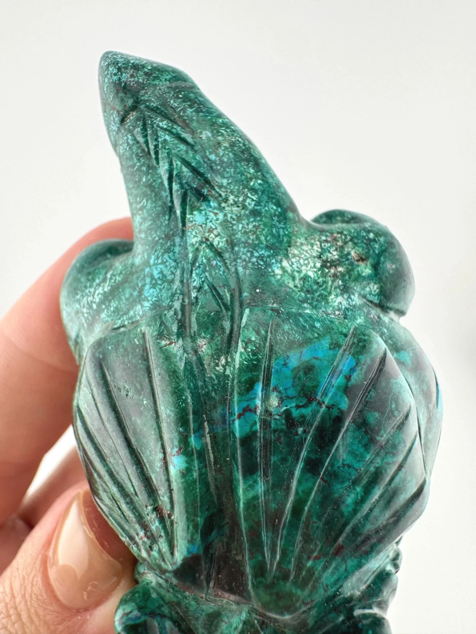 Leandro de Souza Malachite Chrysocolla Dodo Dragon
