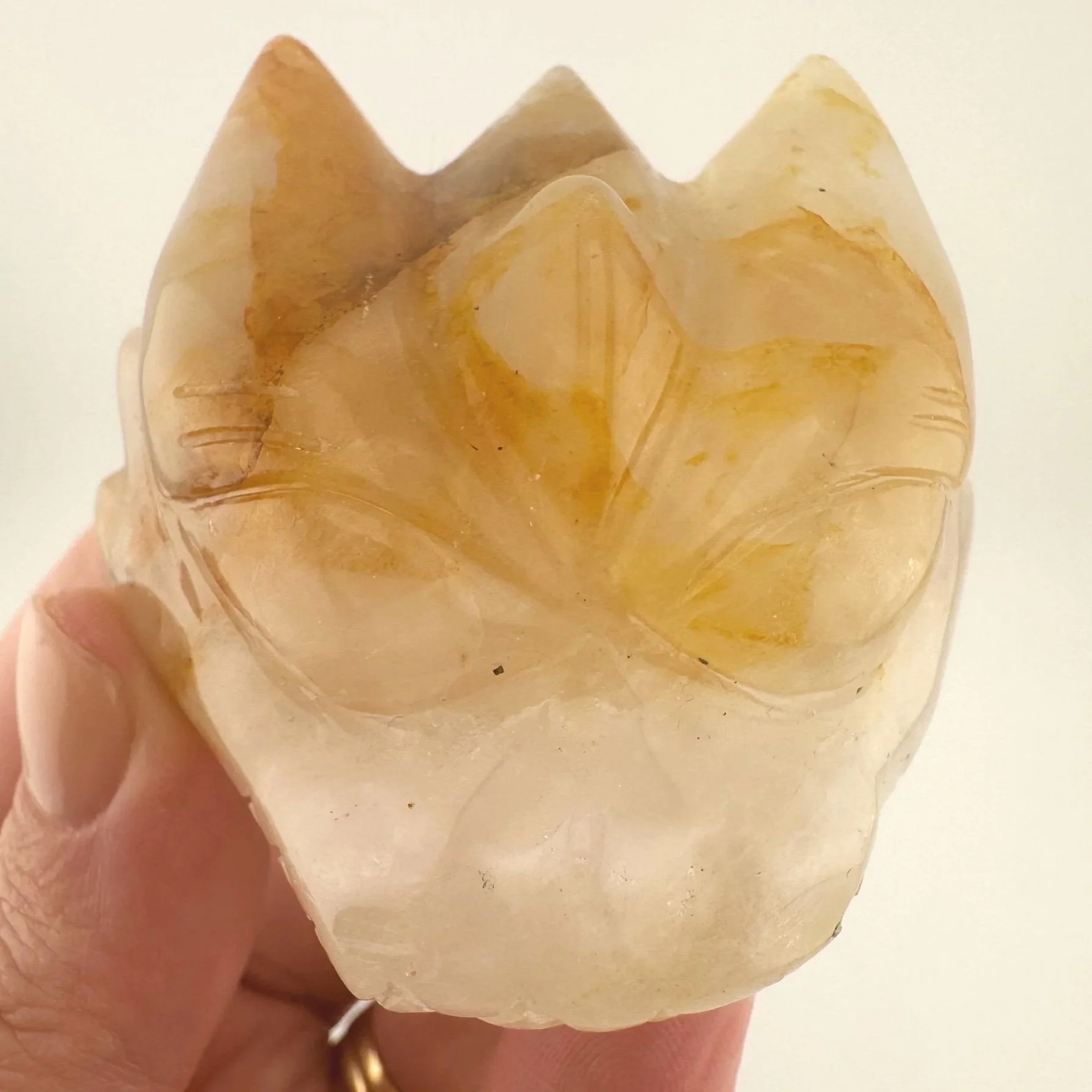 Leandro de Souza Golden Healer Dragon Skull