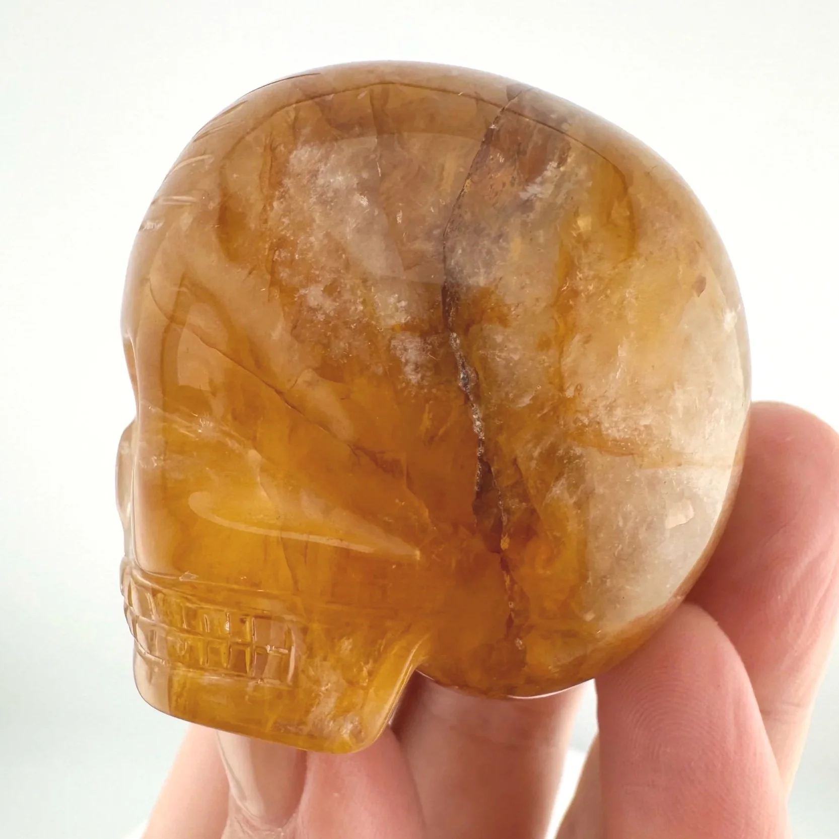 Leandro de Souza Golden Healer Magical Child Skull