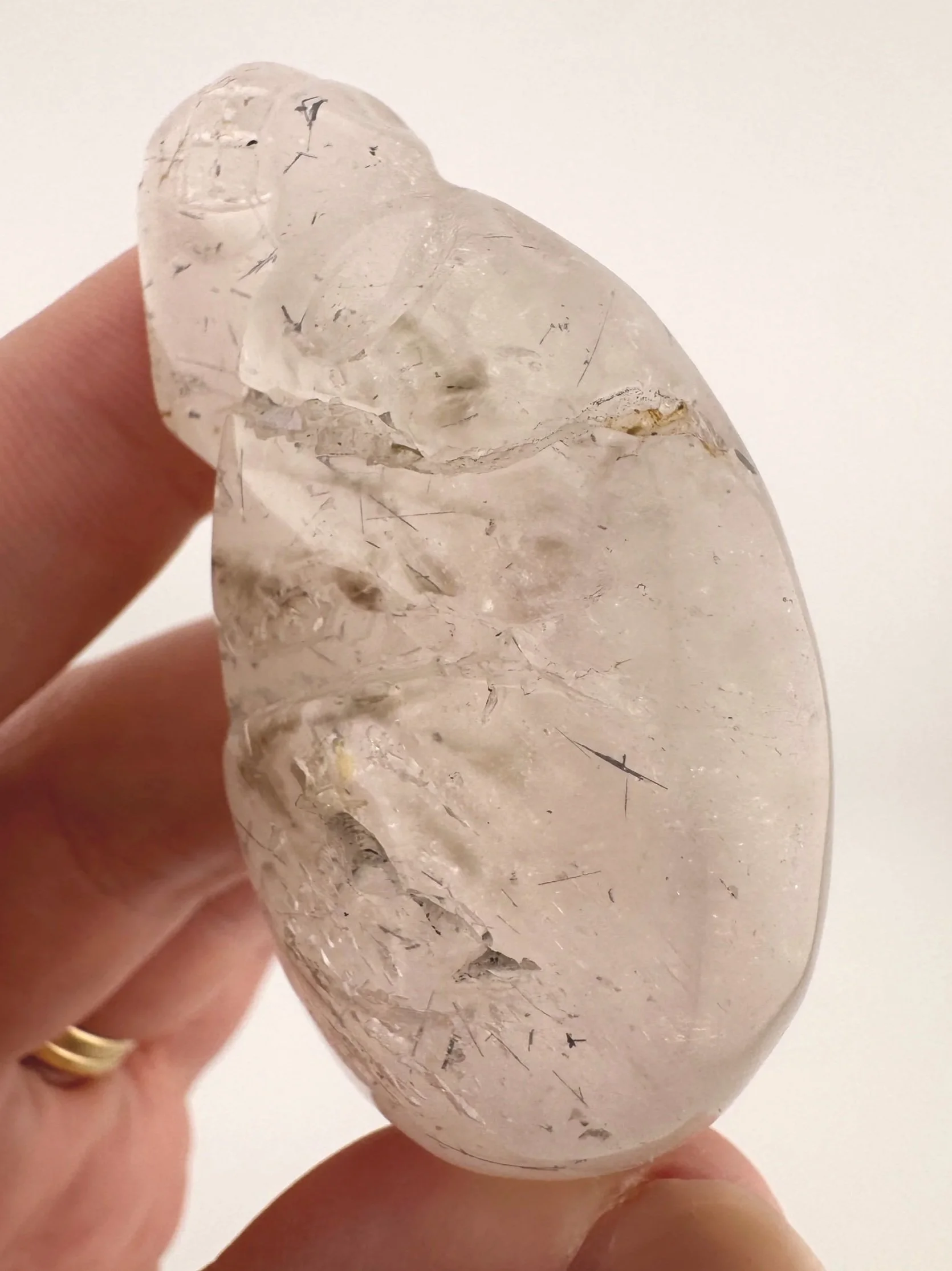 Igor de Souza Black Tourmaline in Quartz Skull