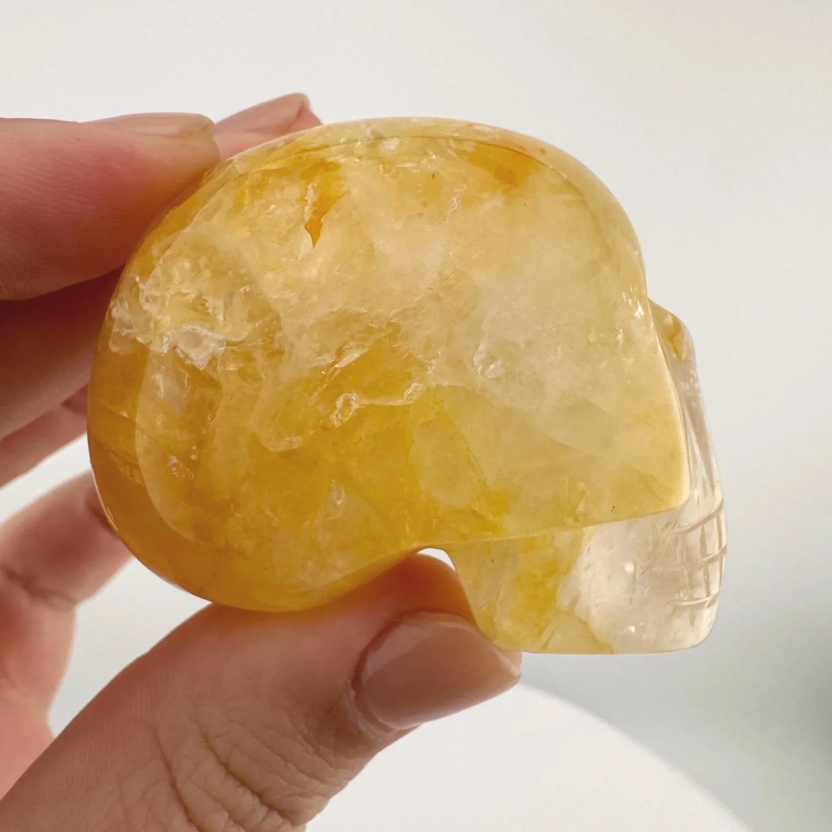 Leandro de Souza Golden Healer Quartz Skull