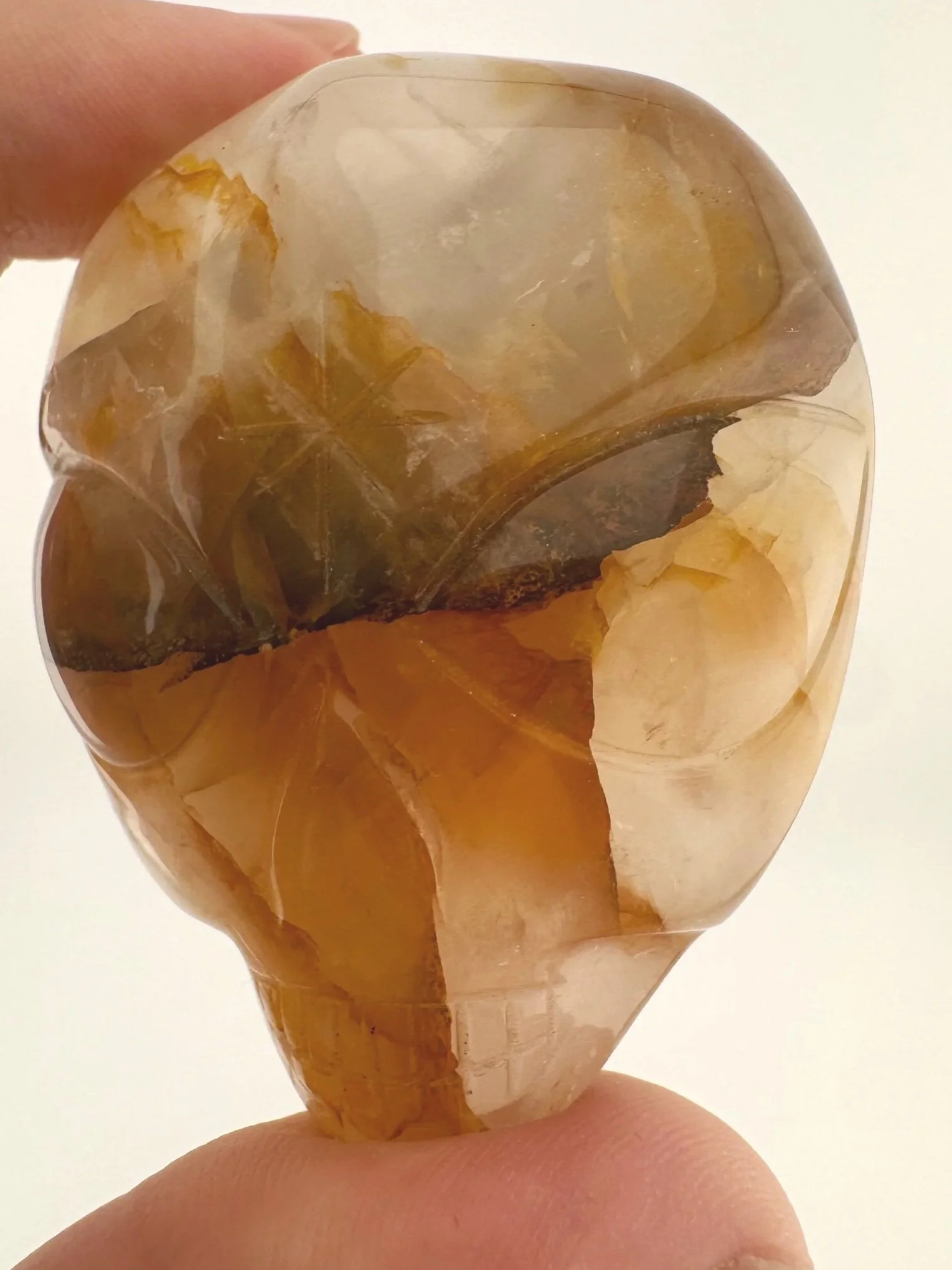 Leandro de Souza Golden Healer Palm Skull
