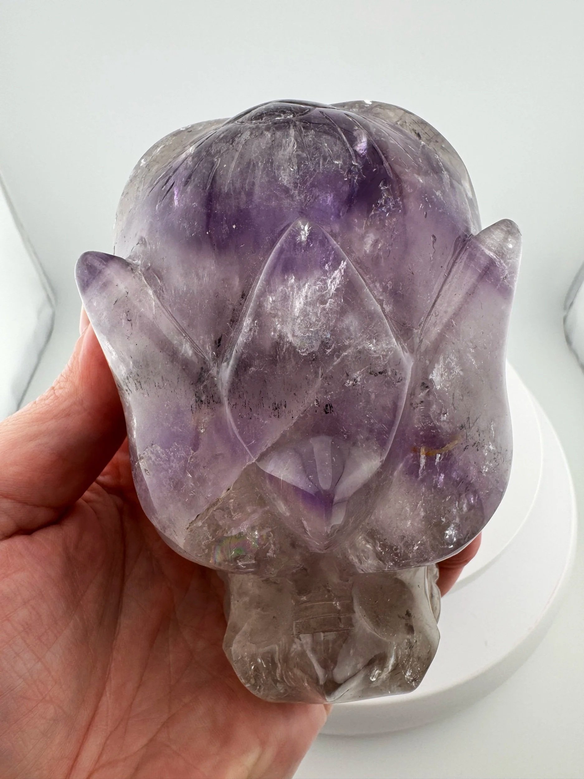 Leandro de Souza Twin Flame Star Being and Dragon Skull