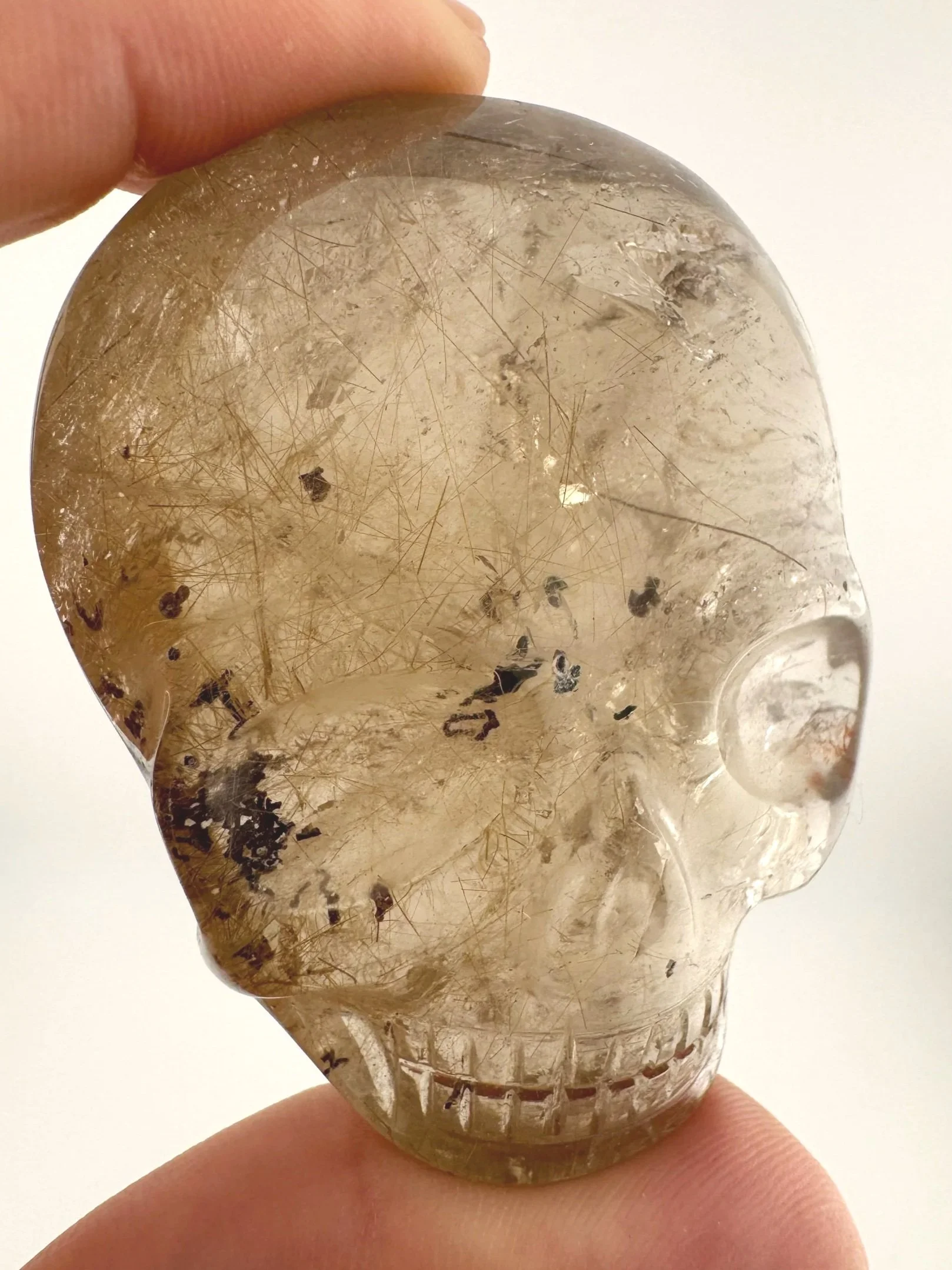 Leandro de Souza Smoky Garden Rutile Magical Child Palm Skull