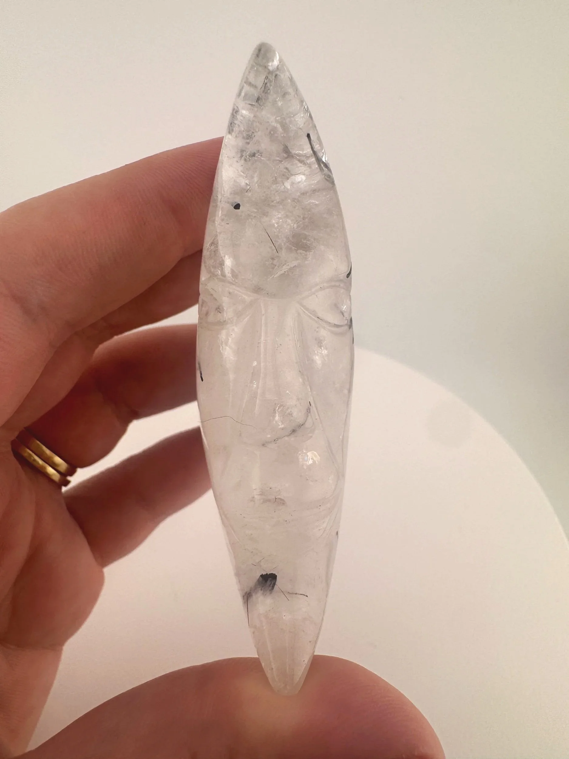 Leandro de Souza Black Tourmaline in Quartz Moon