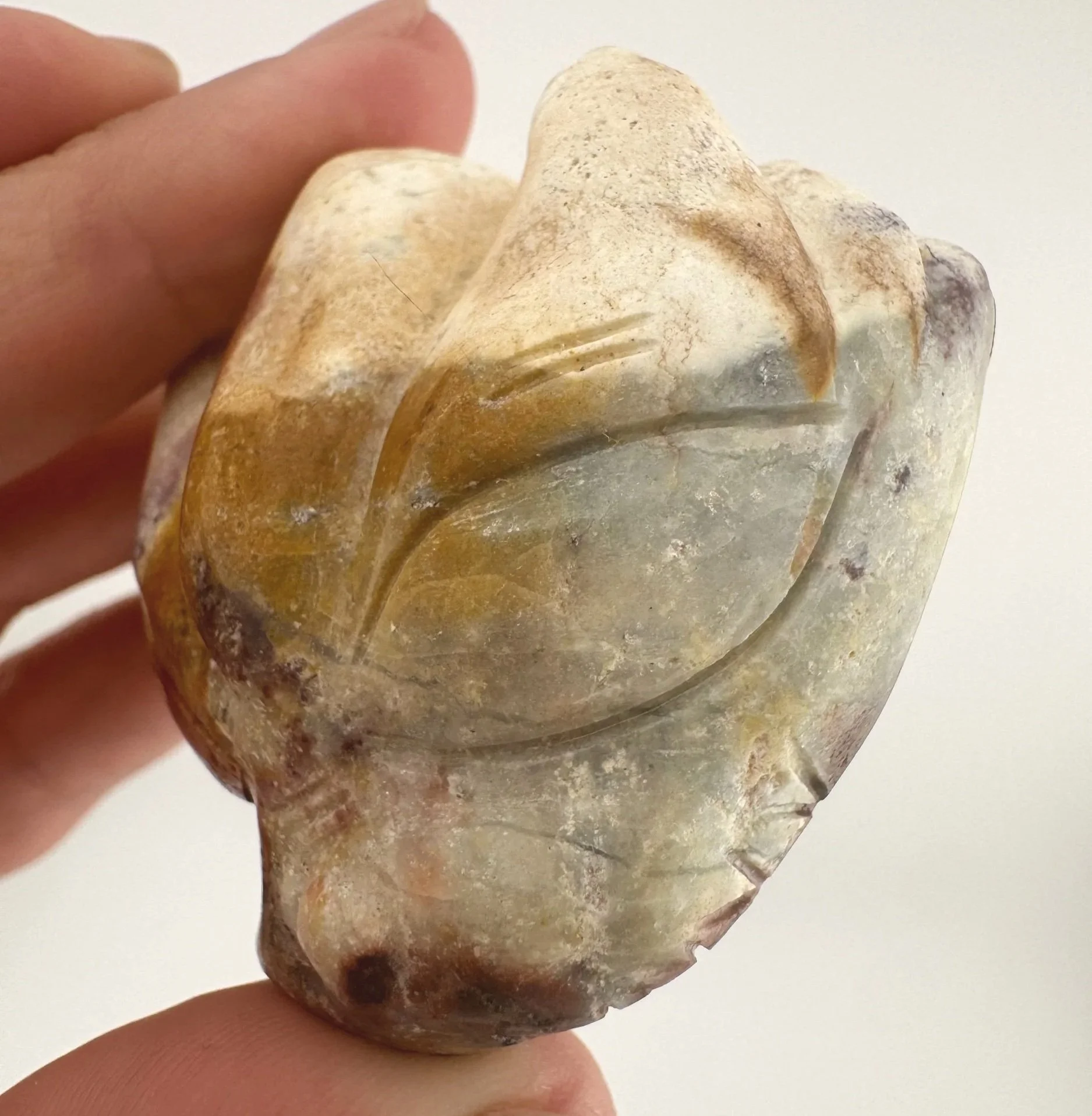 Leandro de Souza Brazilian Jasper Dragon Skull
