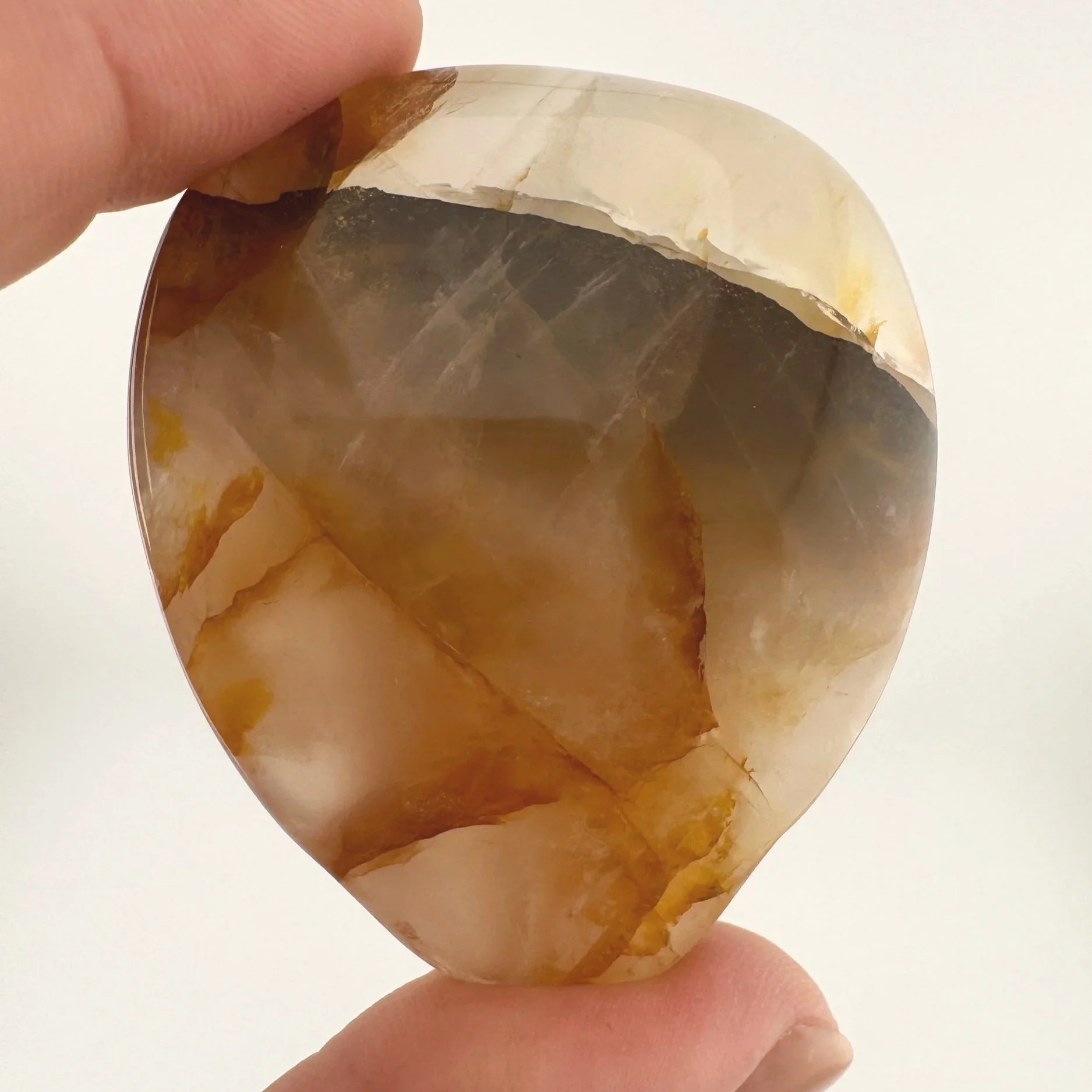 Leandro de Souza Golden Healer Palm Skull
