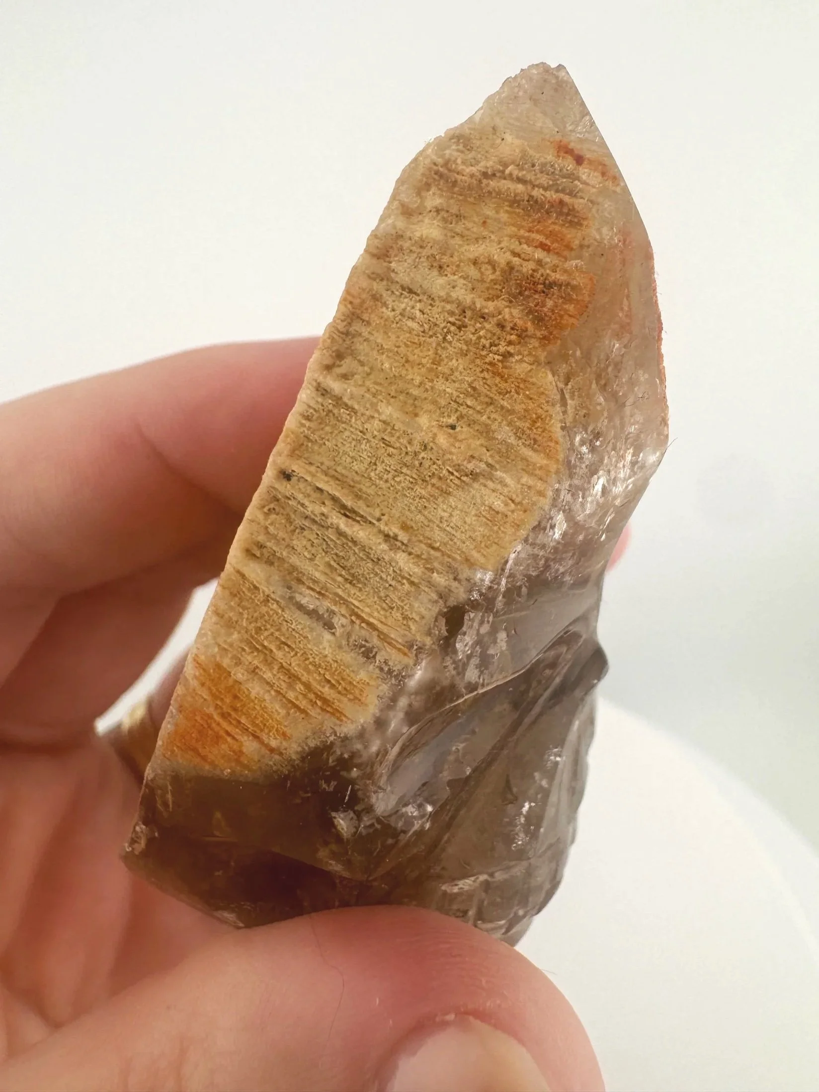 Igor de Souza Morion Tangerine Quartz Shaman Skull