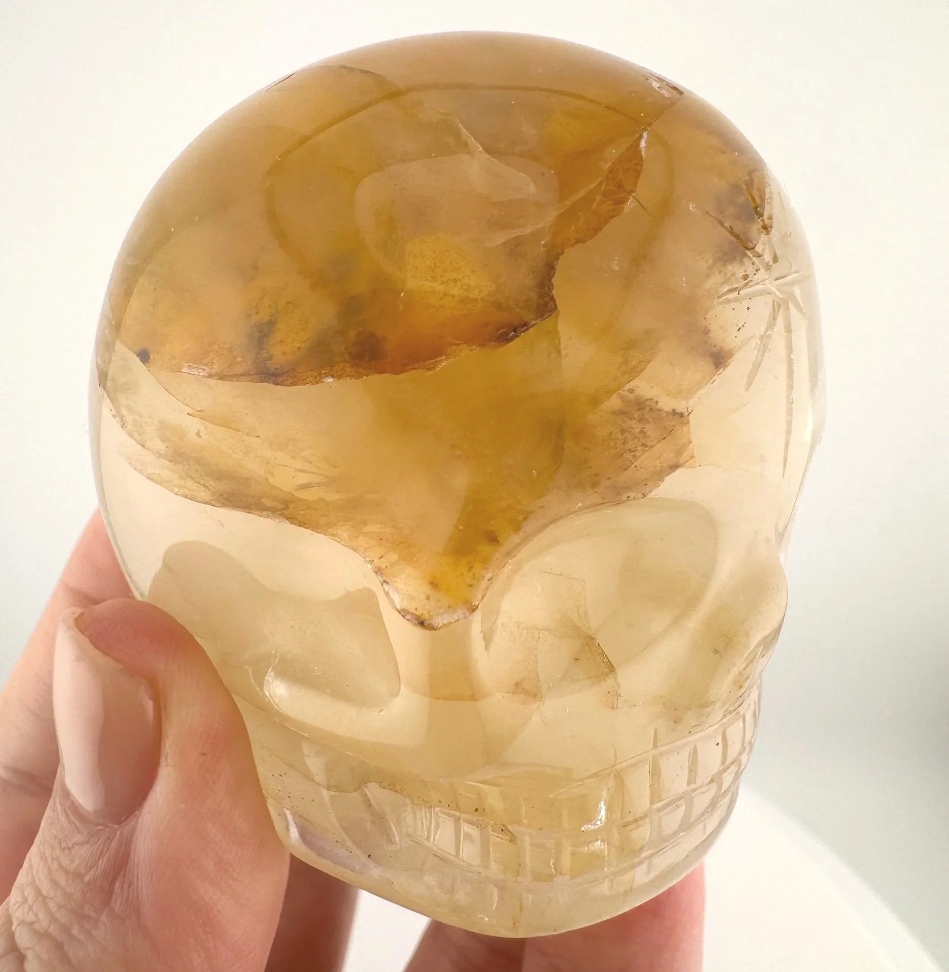 Leandro de Souza Golden Healer Magical Child Skull