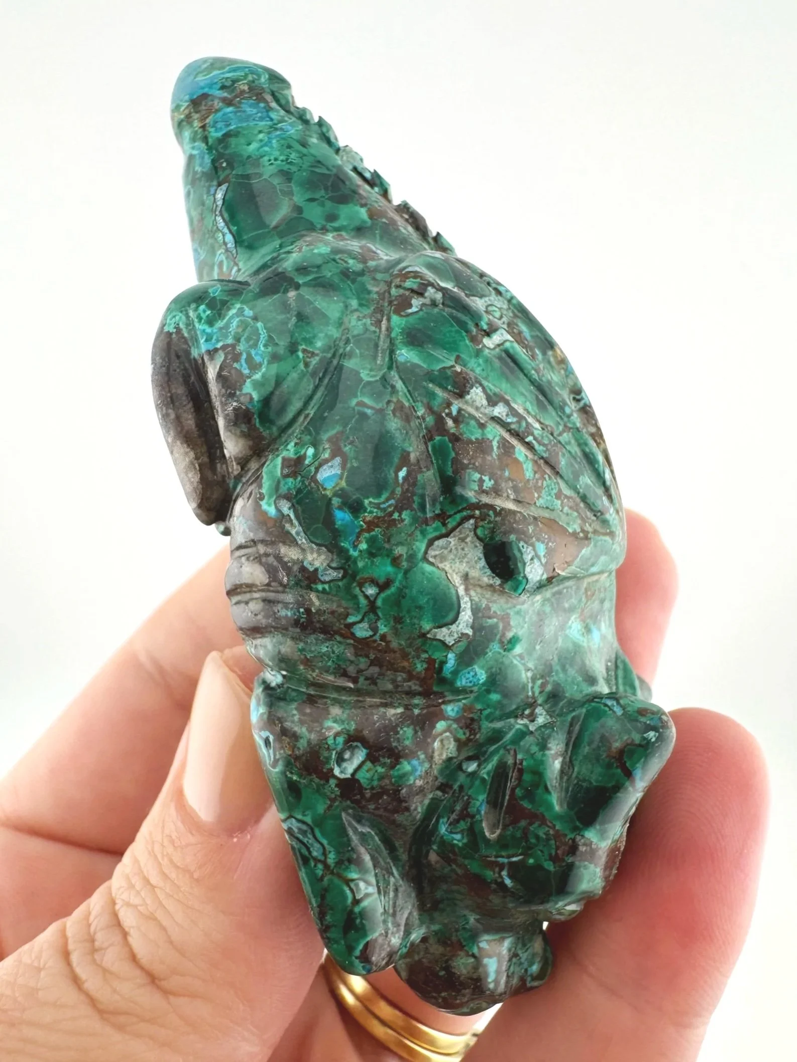 Leandro de Souza Malachite Chrysocolla Dodo Dragon
