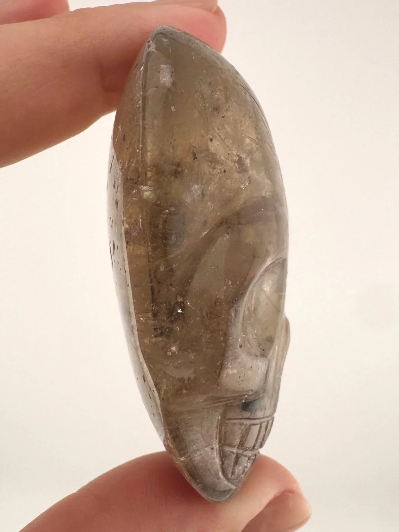 Leandro de Souza Smoky Garden Rutile Magical Child Palm Skull