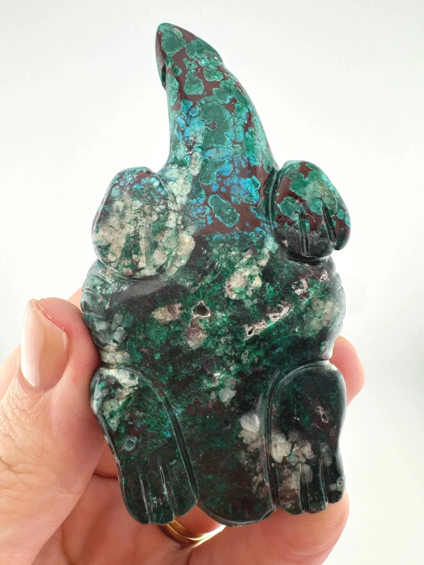 Leandro de Souza Malachite Chrysocolla Dodo Dragon