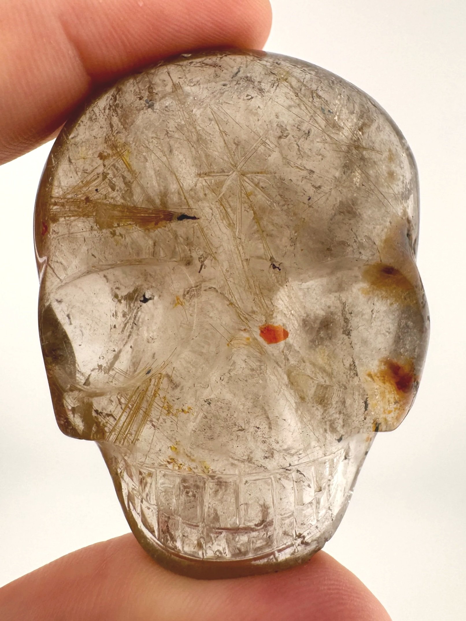 Leandro de Souza Marygold Rutile Palm Skull
