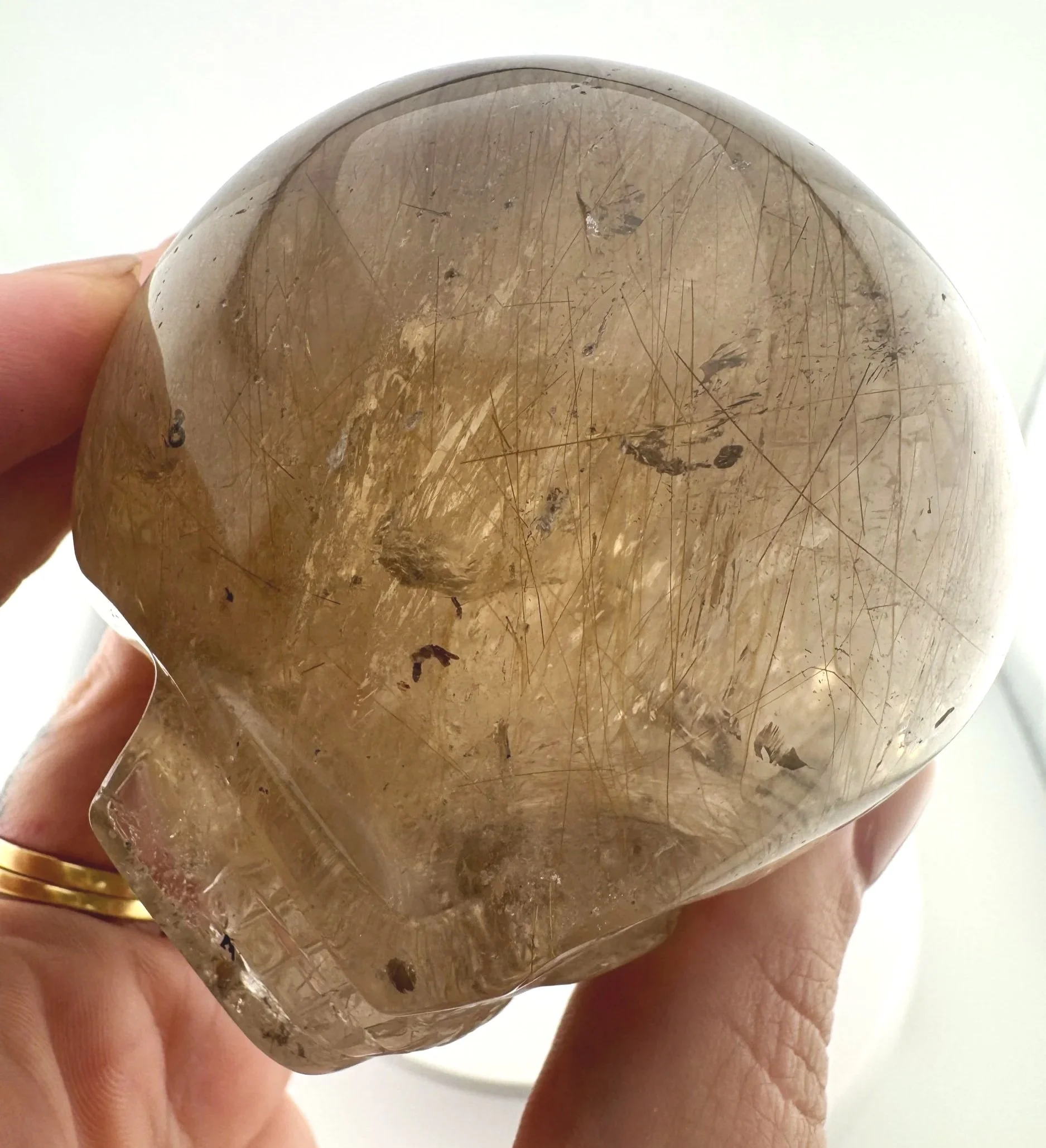Leandro de Souza Golden Rutile in Smoky Quartz Magical Child