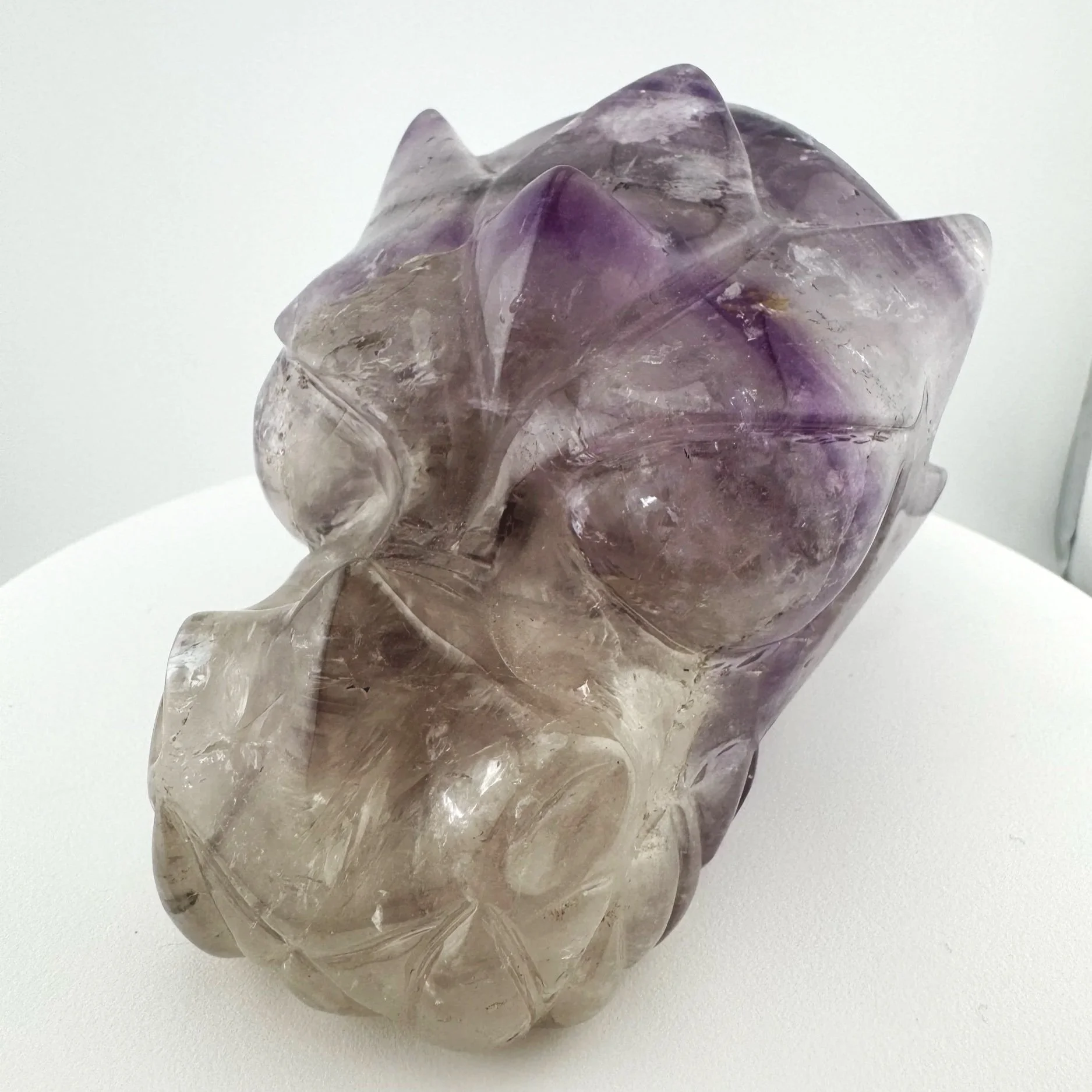 Leandro de Souza Twin Flame Star Being and Dragon Skull