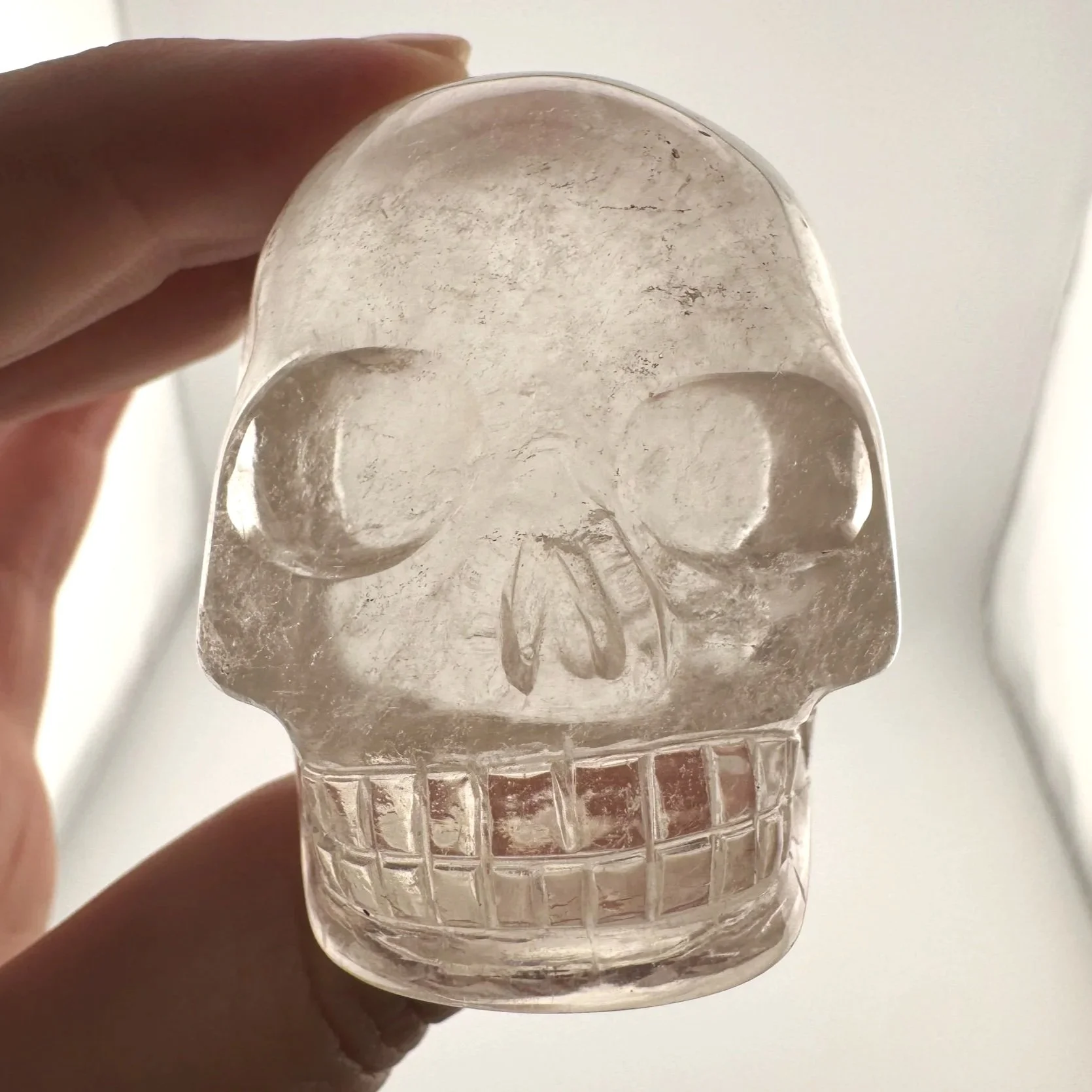 Leandro de Souza Citrine Sirius Quartz Bizoin Skull